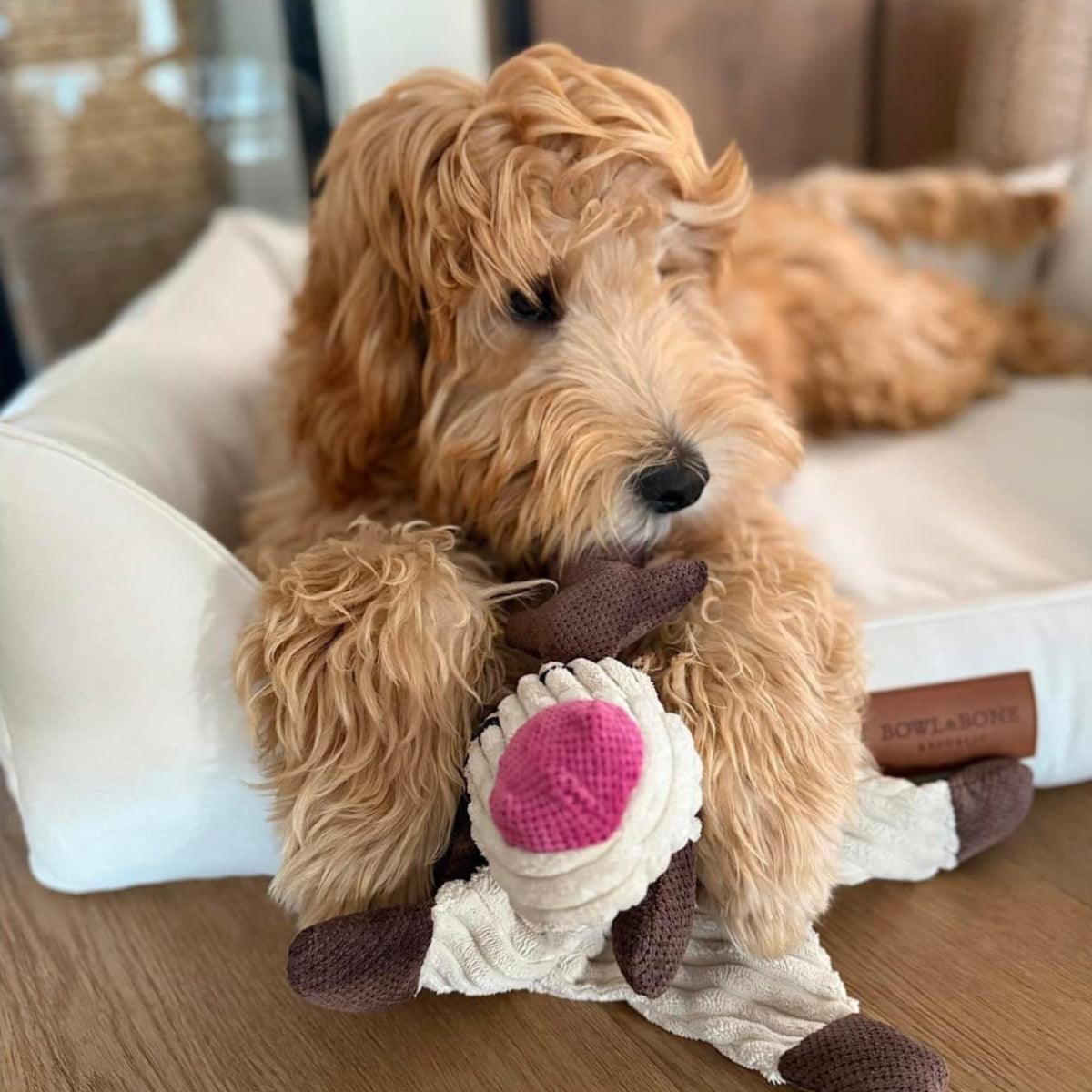 Doudou pour chien en tissu en forme d'animaux (lot de 3) - Kasibe