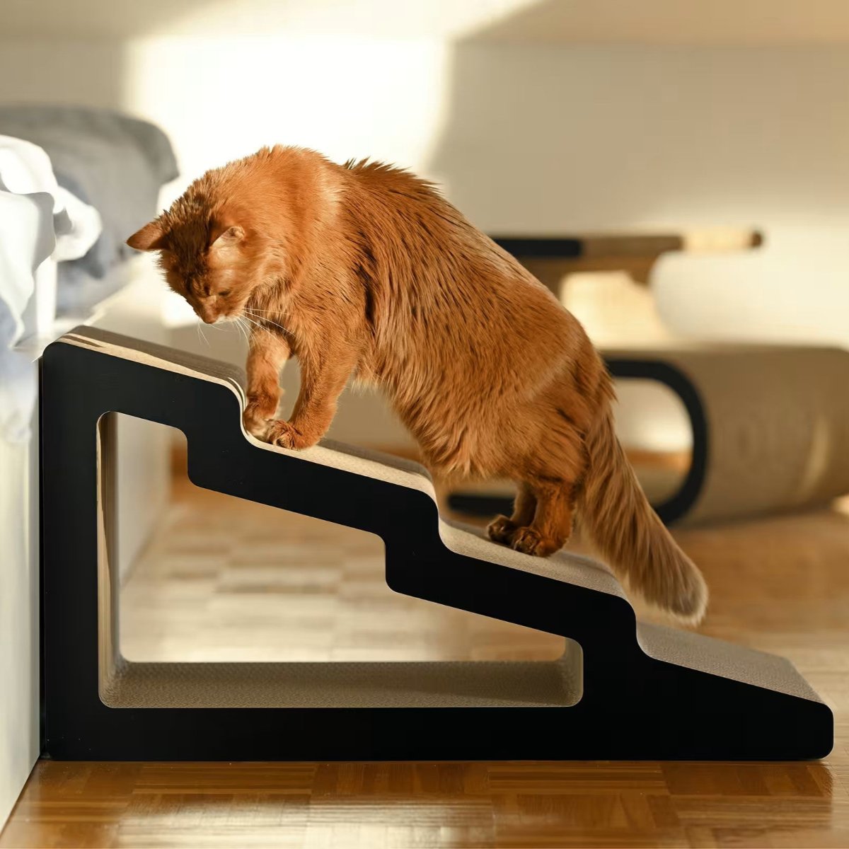 Escalier pour chat - KAIDAN - Kasibe
