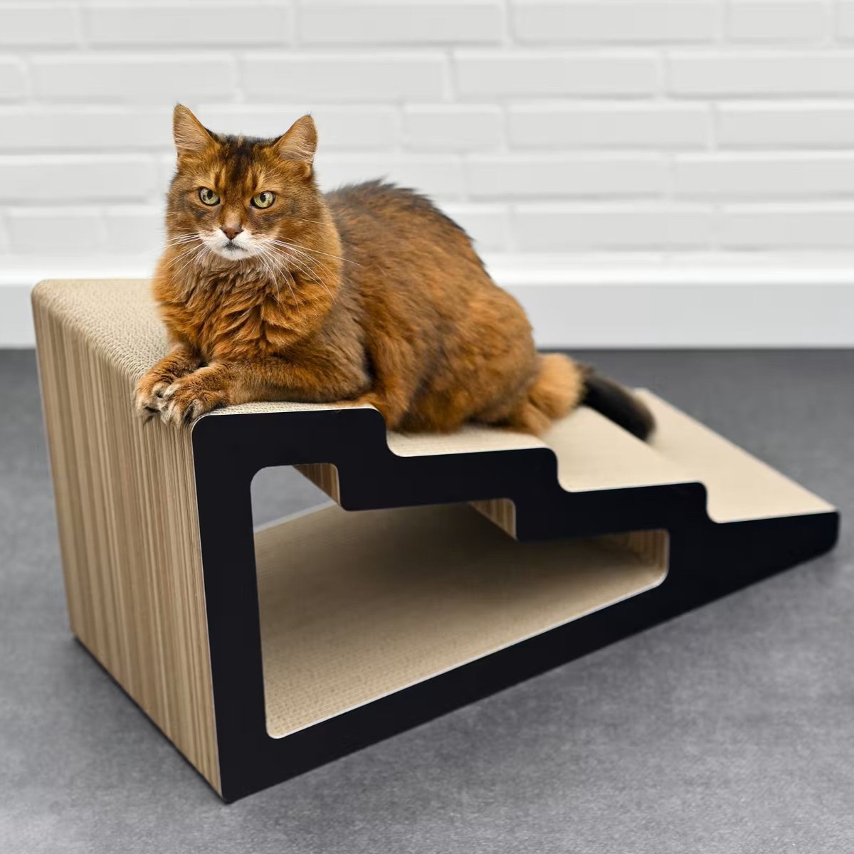 Escalier pour chat - KAIDAN - Kasibe