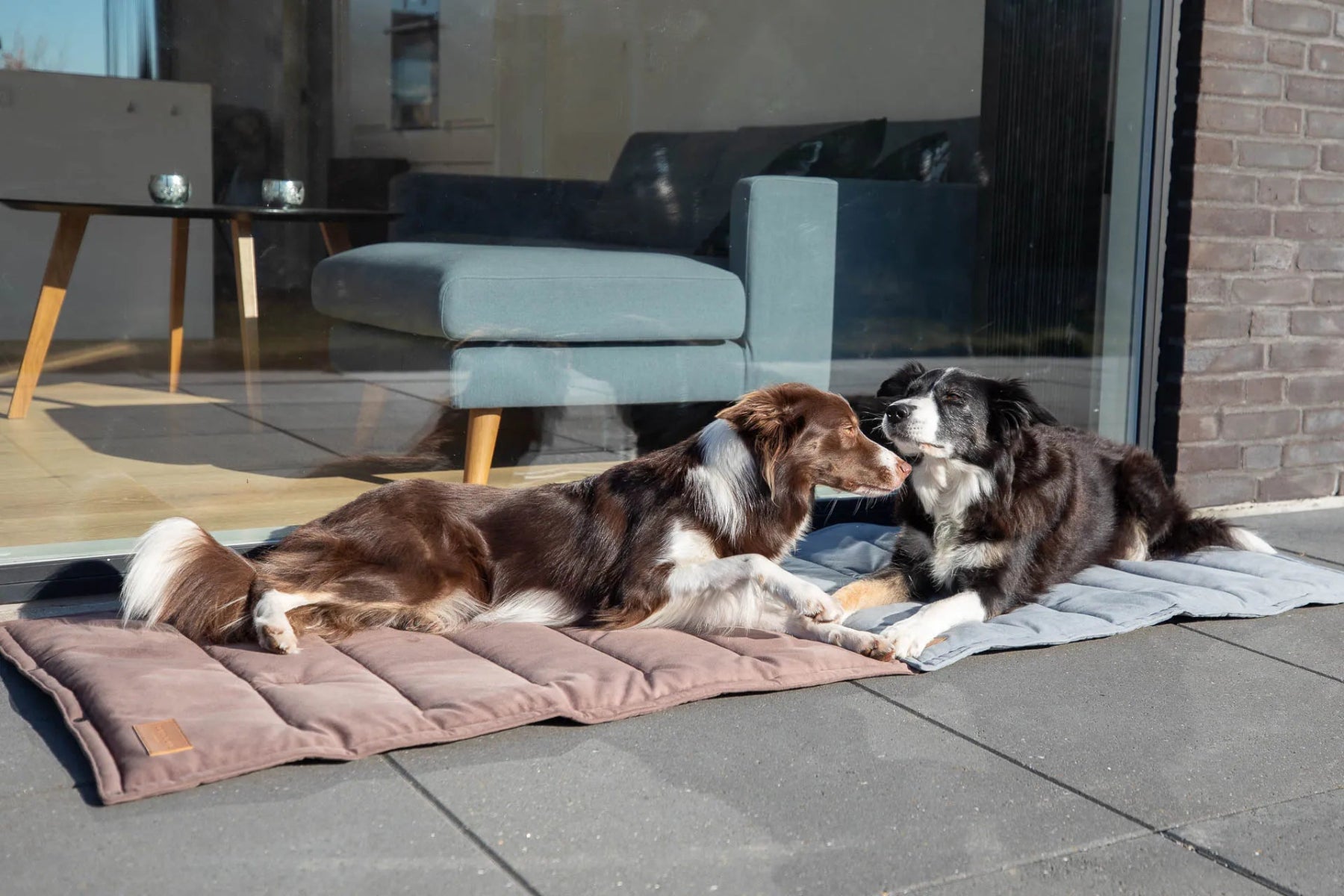 Tapis de transport pour chien - CLASSIC - Kasibe