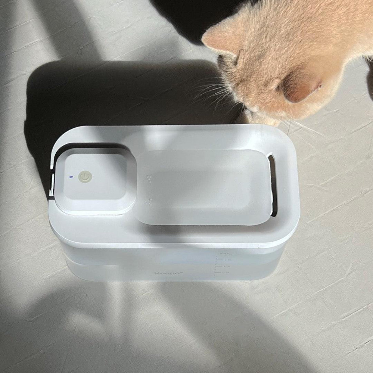 Fontaine à eau pour chat - HYDR - Kasibe
