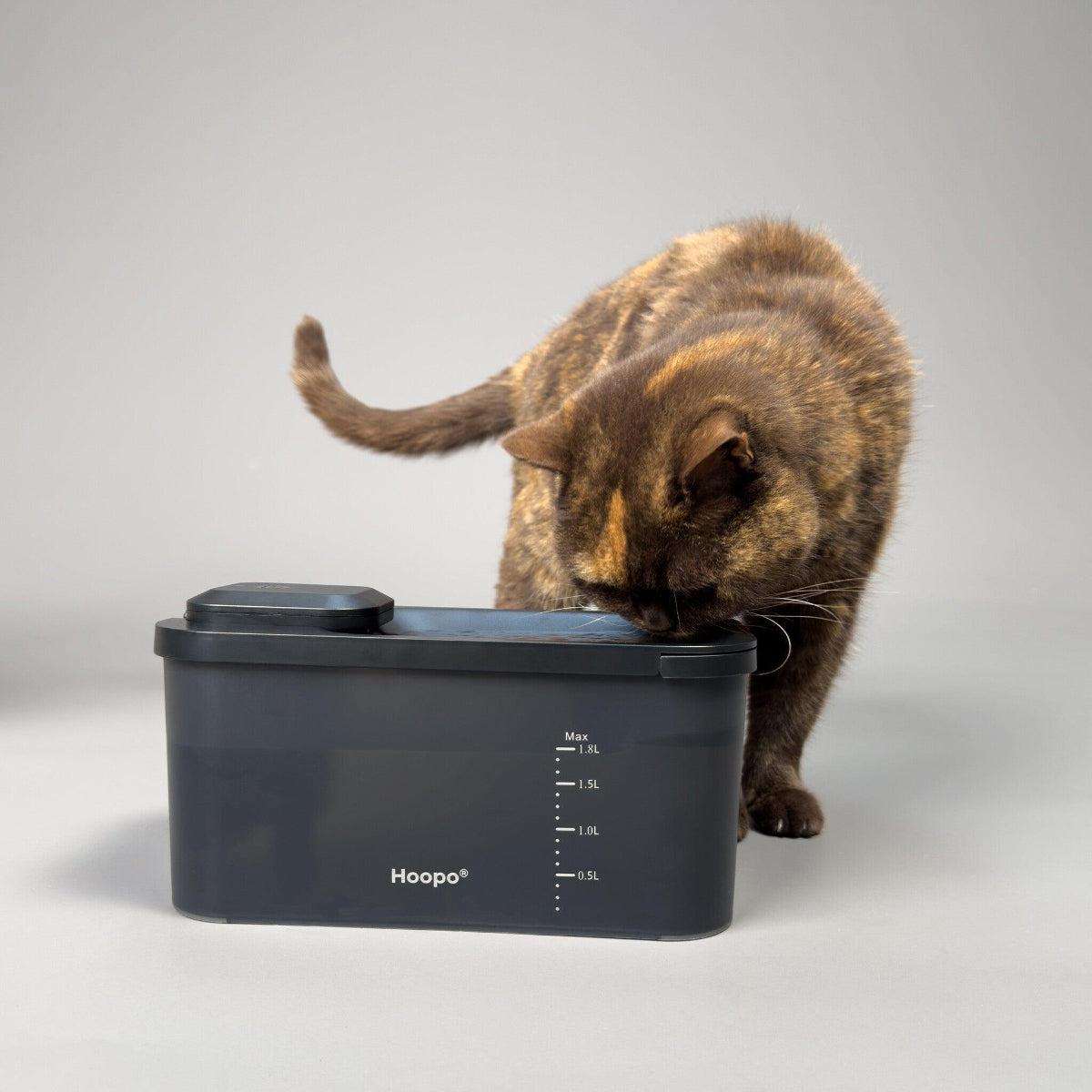 Fontaine à eau pour chat - HYDR - Kasibe