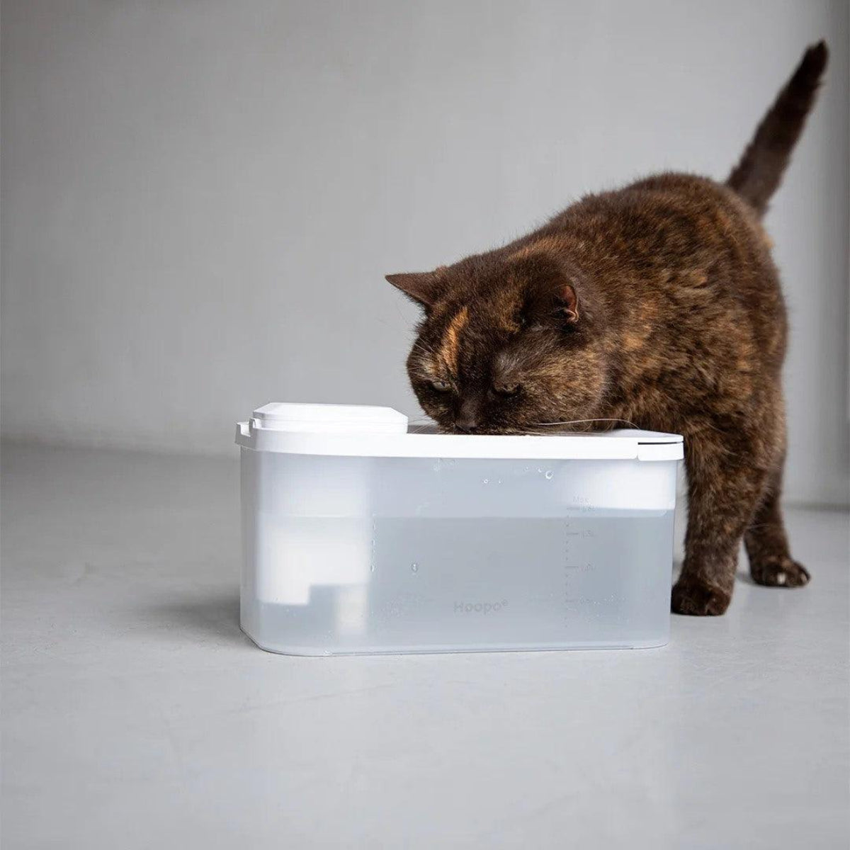 Fontaine à eau pour chat - HYDR - Kasibe