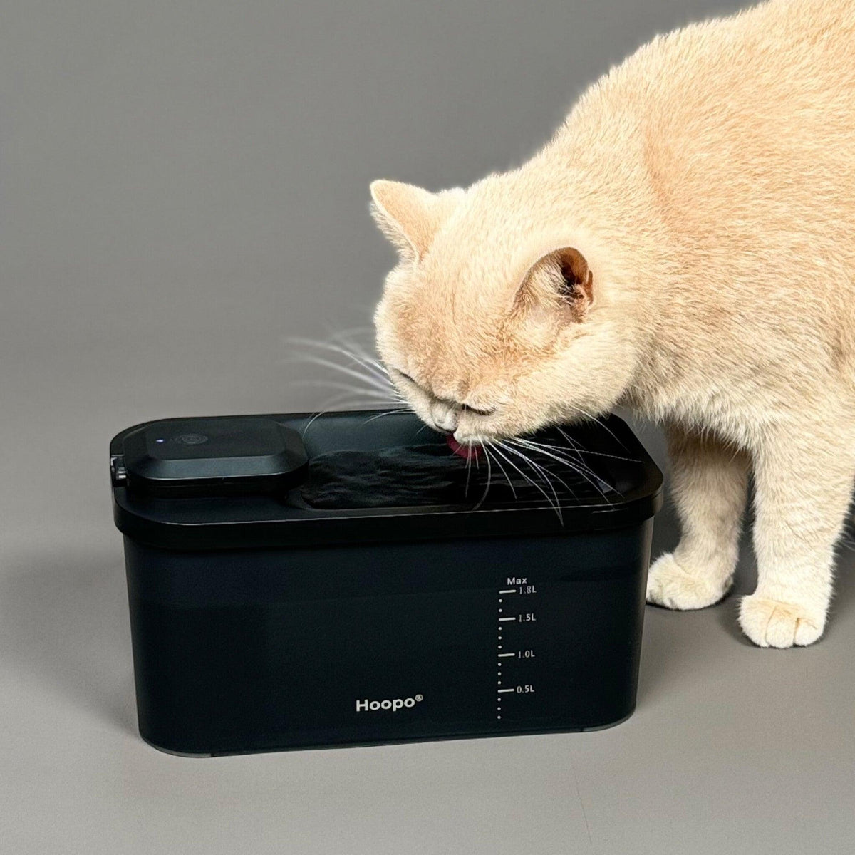 Fontaine à eau pour chat - HYDR - Kasibe