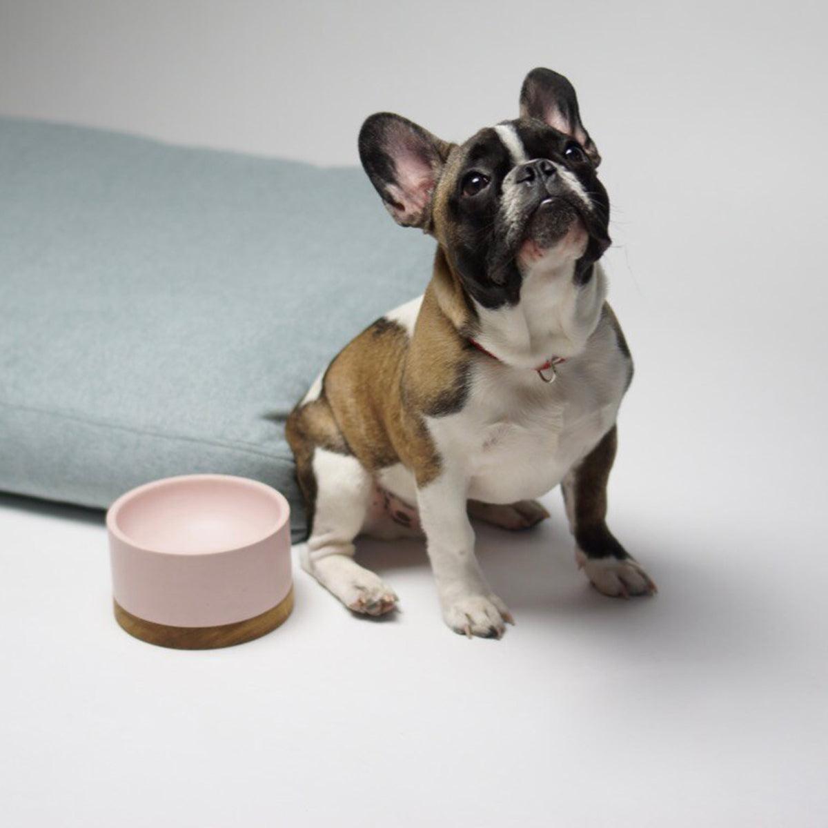 Gamelle chic pour chien ou chat - VUKU SINGLE - Kasibe