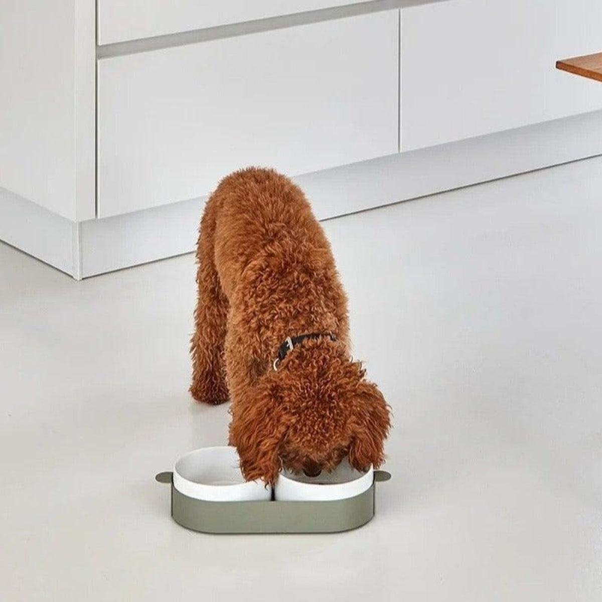 Gamelle pour chien design - TAVOLETTA - kasibe