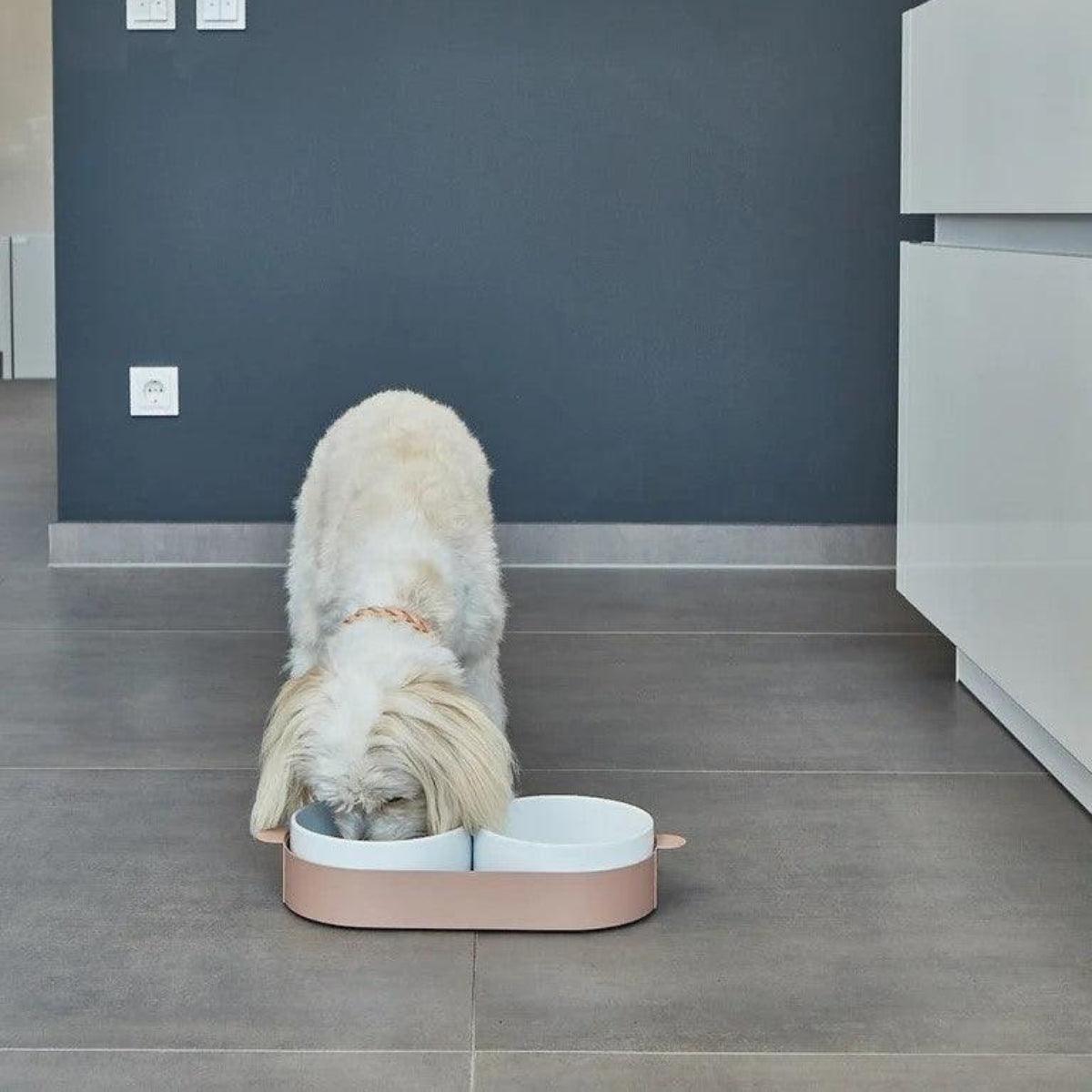 Gamelle pour chien design - TAVOLETTA - kasibe