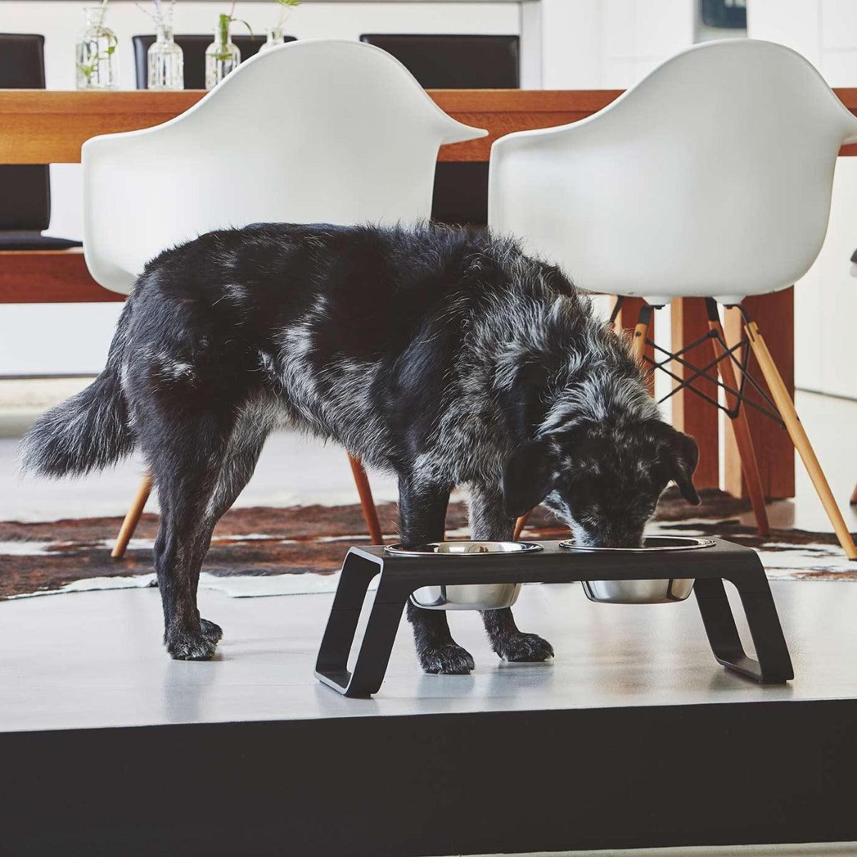 Gamelle pour chien surélevée en bois au style épuré Desco - kasibe
