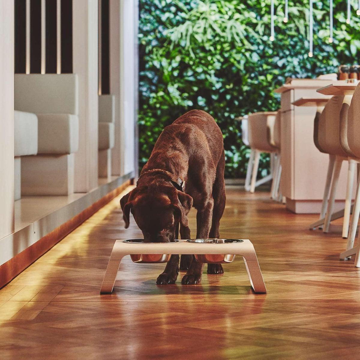 Gamelle pour chien surélevée en bois au style épuré Desco - kasibe