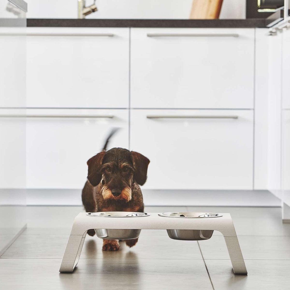 Gamelle pour chien surélevée en bois au style épuré Desco - kasibe