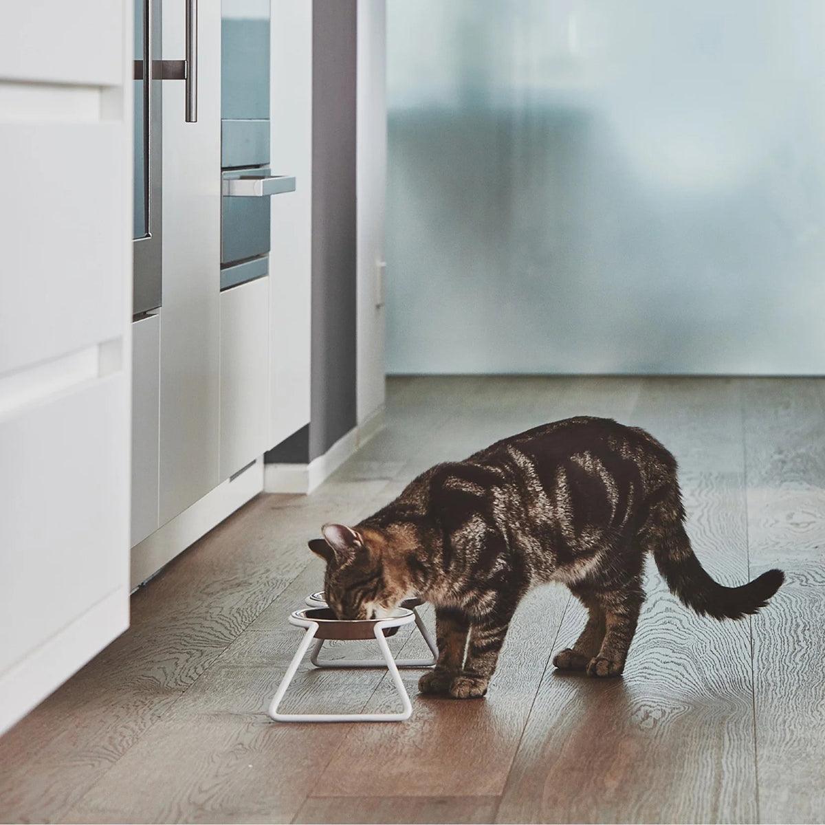 Gamelle design pour chat - CENA - Kasibe