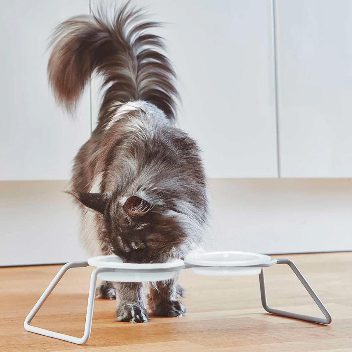 Gamelle design pour chat - CENA - Kasibe