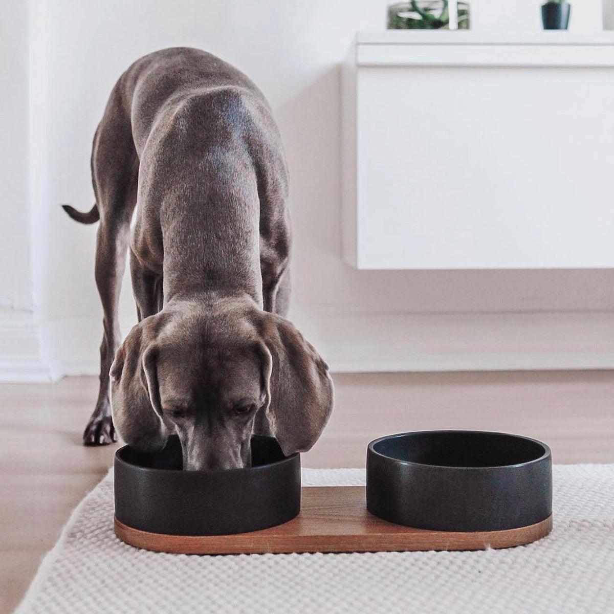 Gamelle double en céramique pour chien et chat - VUKU - Kasibe