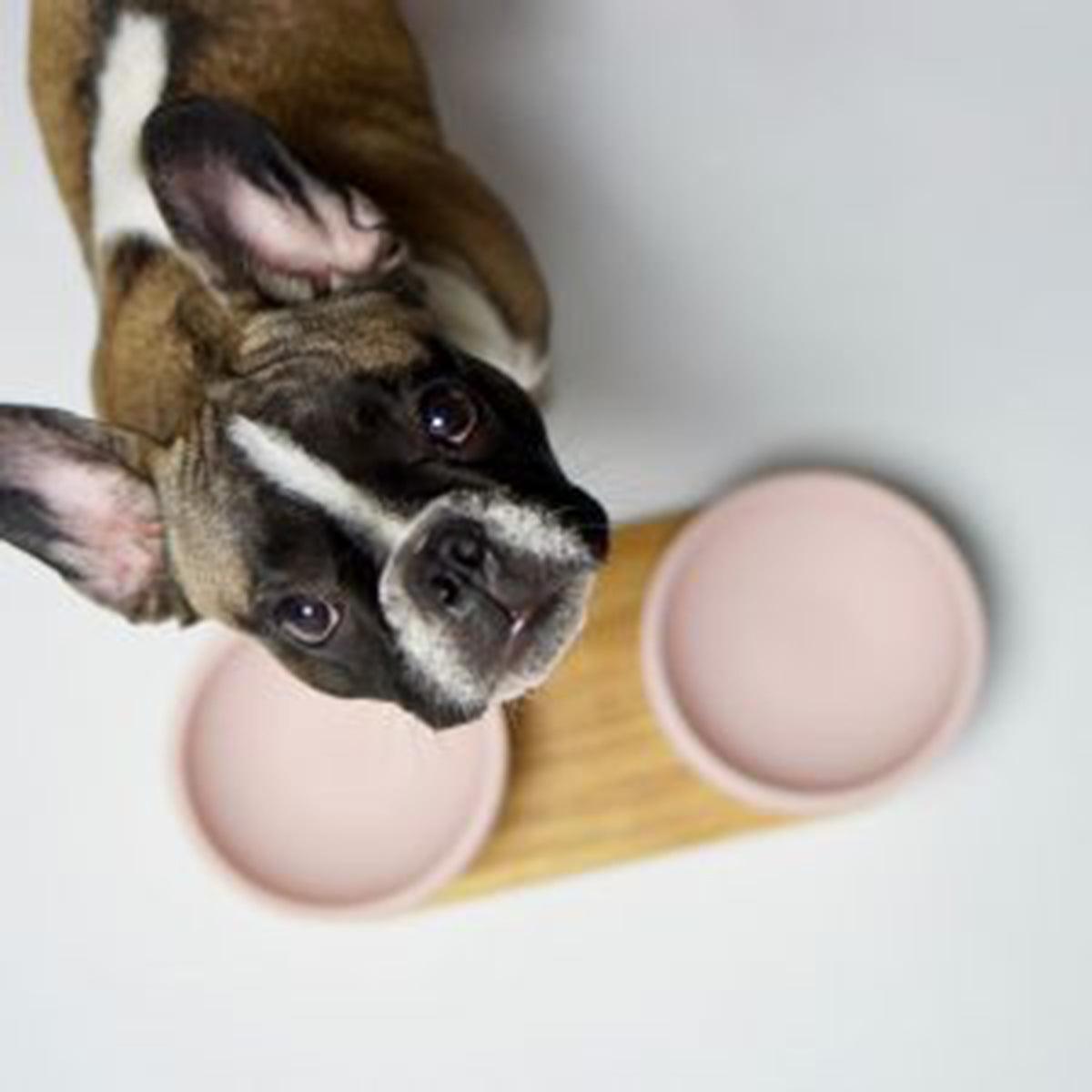 Gamelle double en céramique pour chien et chat - VUKU - Kasibe