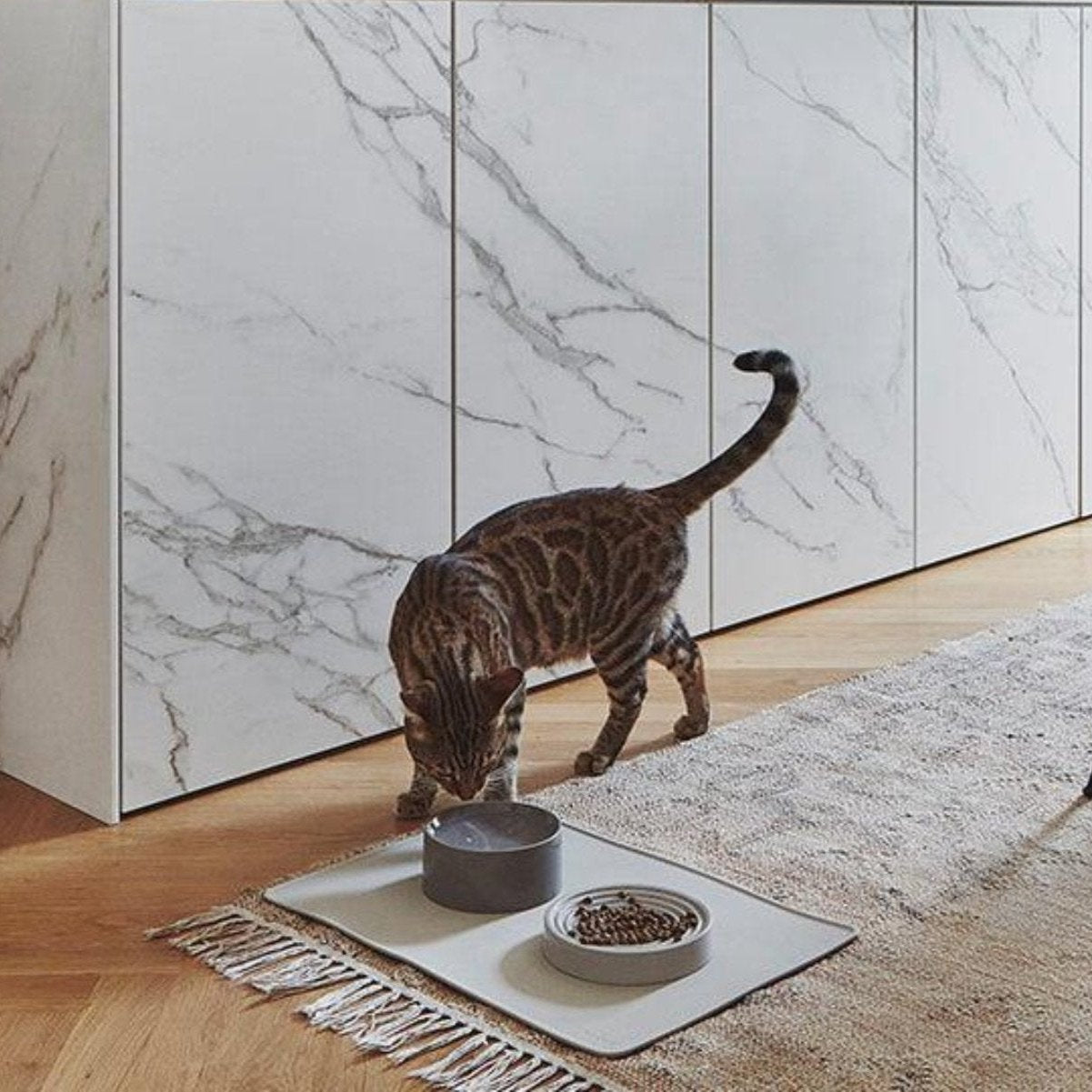 Gamelle en céramique pour chat - FRESCO - Kasibe