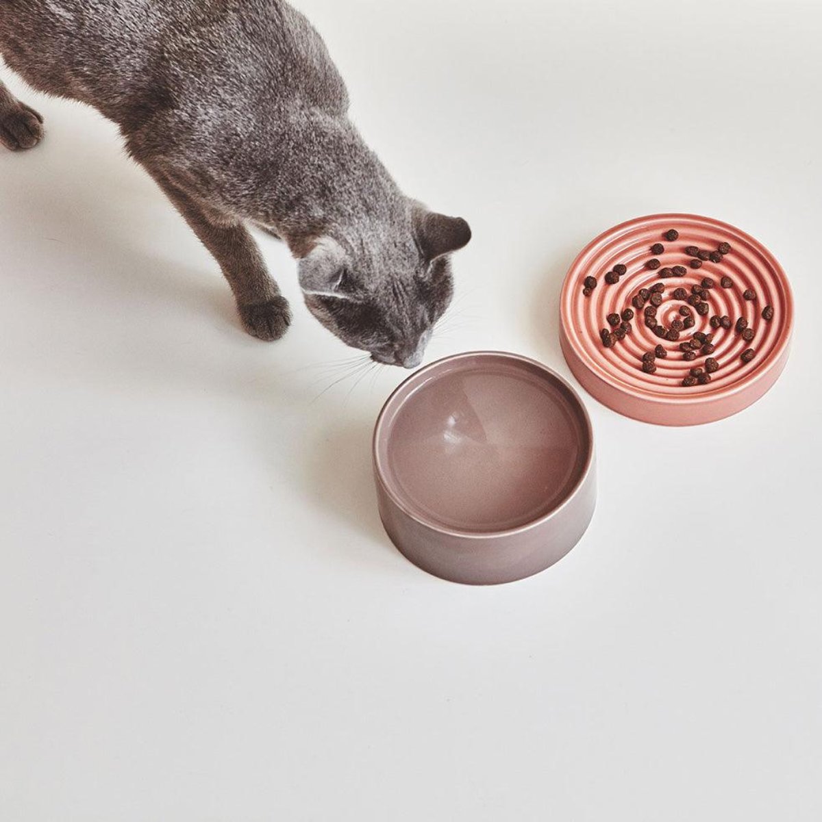 Gamelle en céramique pour chat - FRESCO - Kasibe