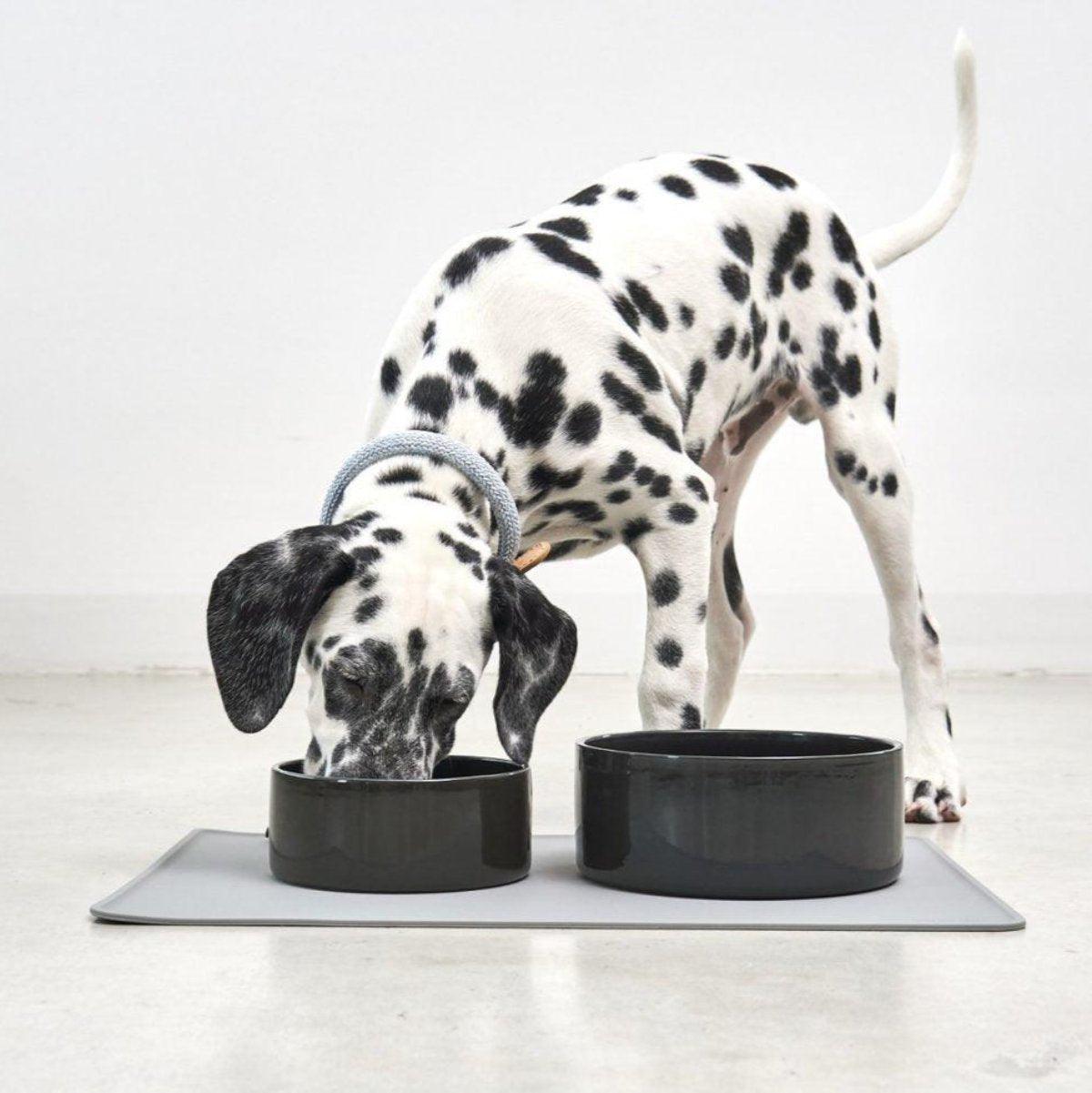 Gamelle en céramique pour chien - SCODELLA - Kasibe