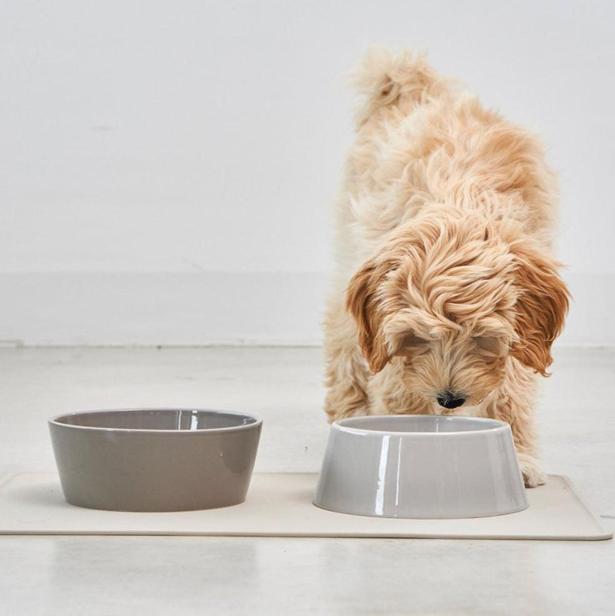 Gamelle en porcelaine pour chien double - DOPPIO - Kasibe