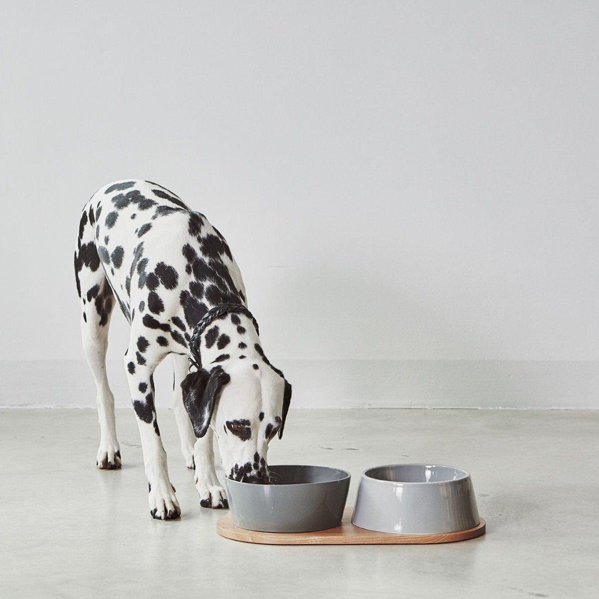 Gamelle en porcelaine pour chien double - DOPPIO - Kasibe