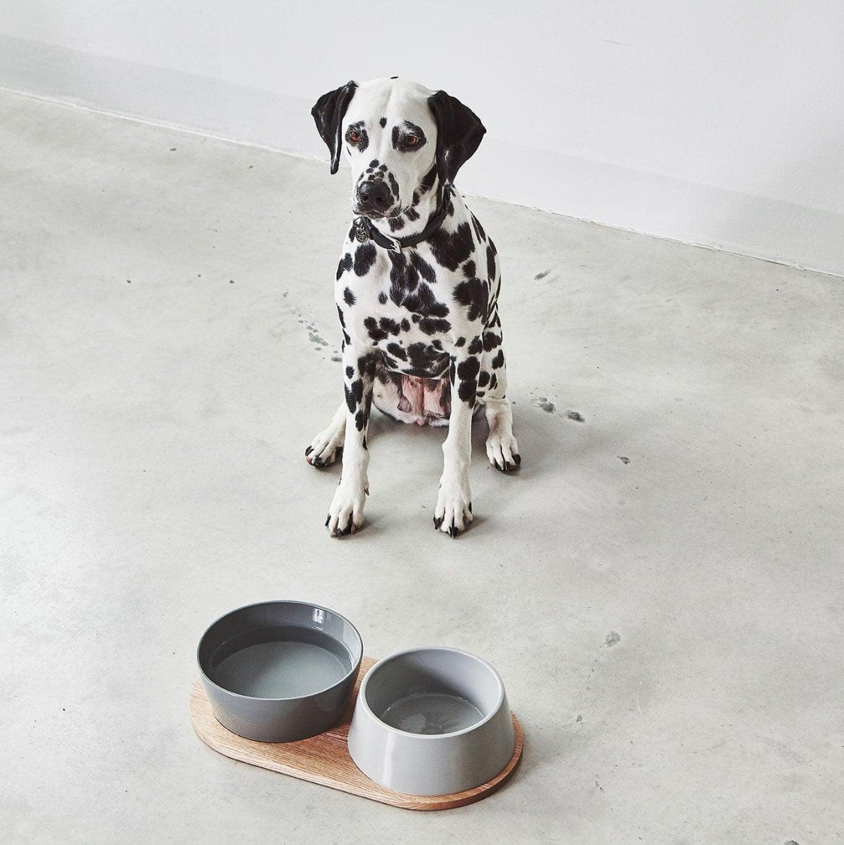 Gamelle en porcelaine pour chien double - DOPPIO - Kasibe