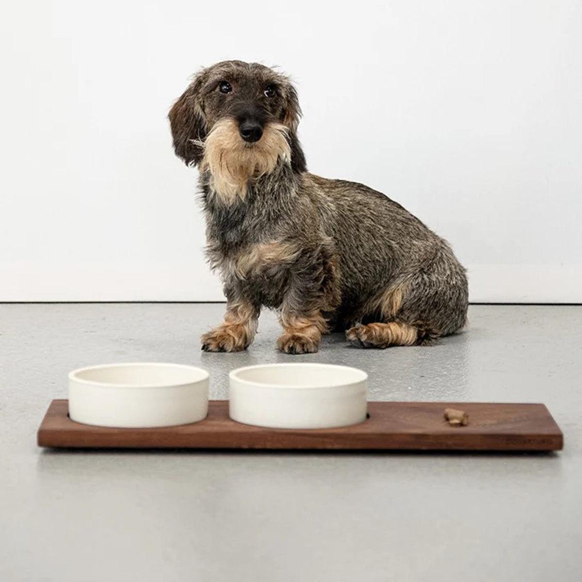 Gamelle haut de gamme pour chien - IL TAGLIERE - Kasibe