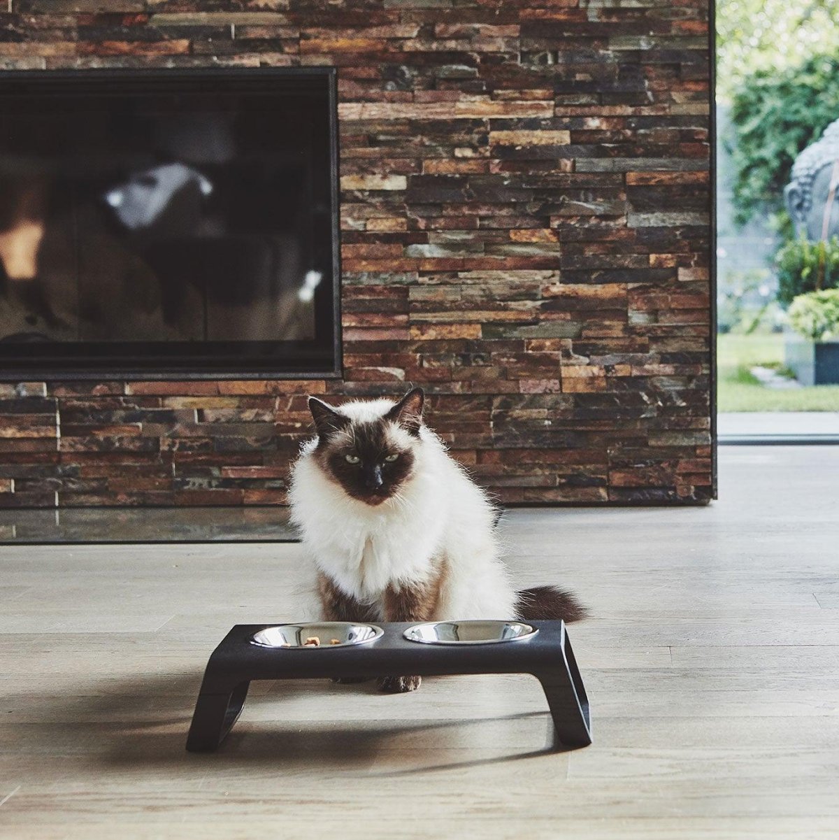 Gamelle pour chat en bois - DESCO - Kasibe