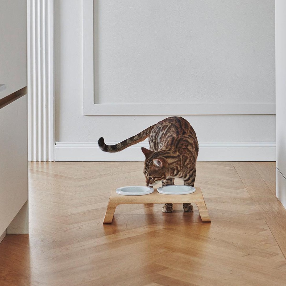 Gamelle pour chat en bois - DESCO - Kasibe