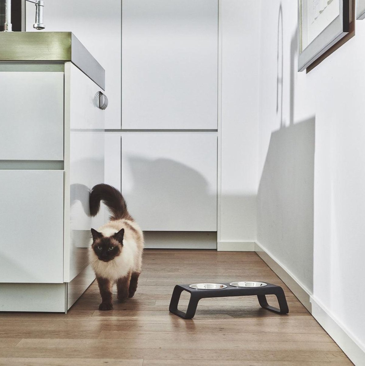Gamelle pour chat en bois - DESCO - Kasibe