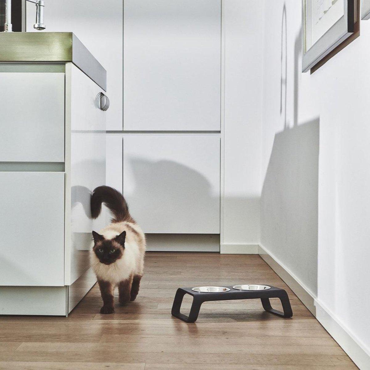 Gamelle pour chat en bois - DESCO - Kasibe