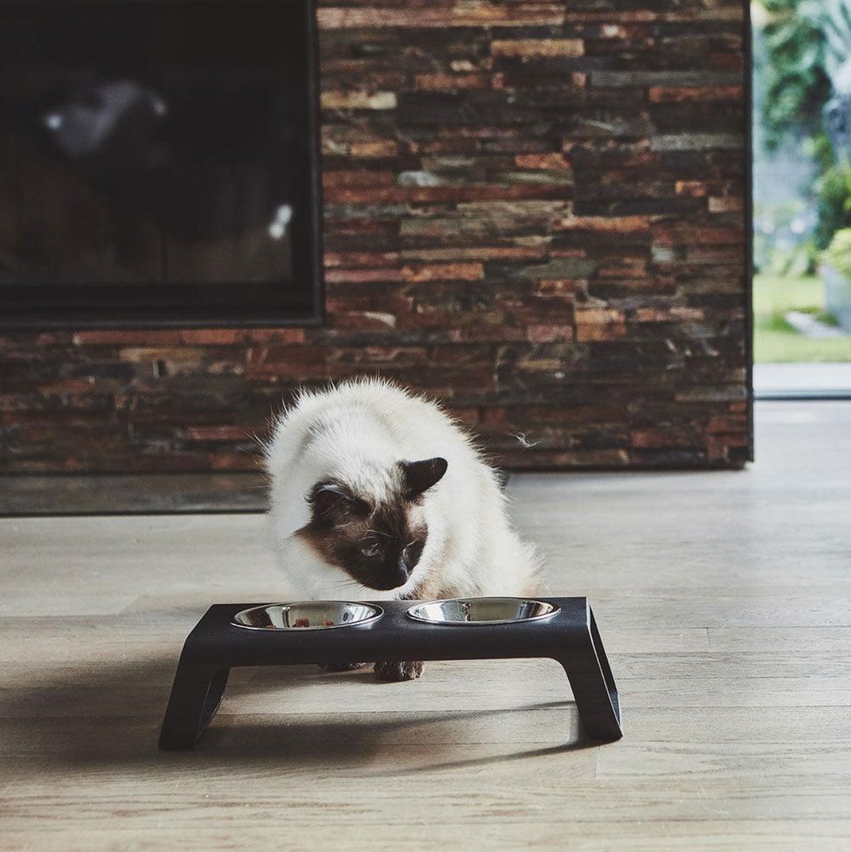 Gamelle pour chat en bois - DESCO - Kasibe