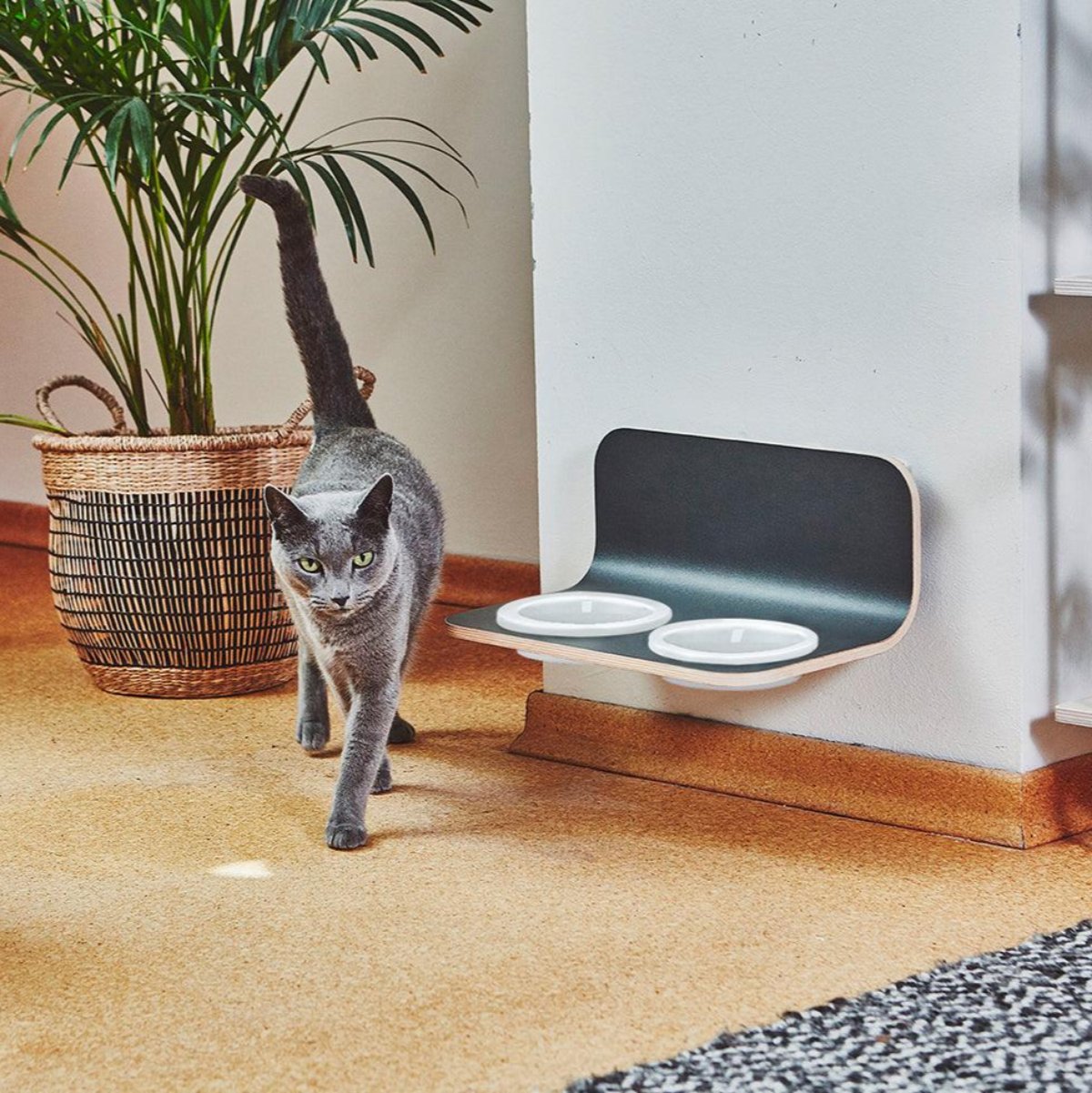 Gamelle pour chat en hauteur - ARCO - Kasibe
