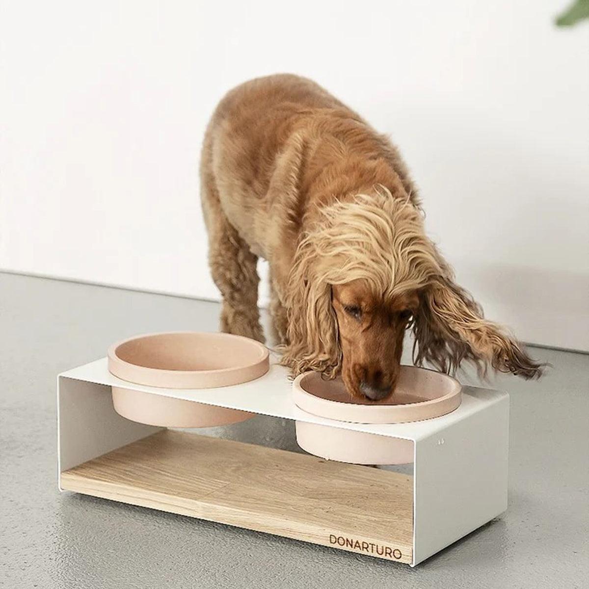 Gamelle pour chien de luxe - TECCA - Kasibe