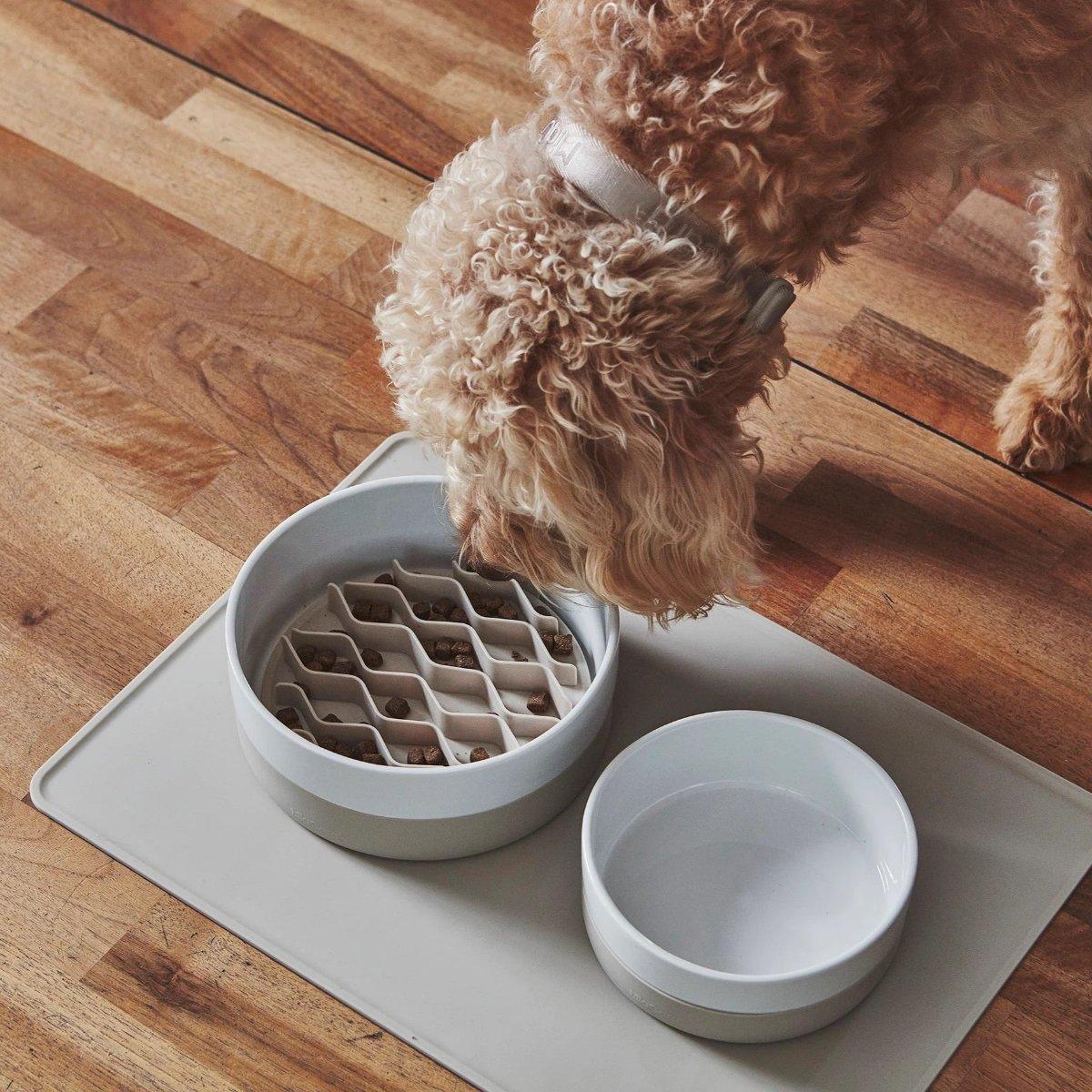 Gamelle pour chien en porcelaine - COPPA - Kasibe