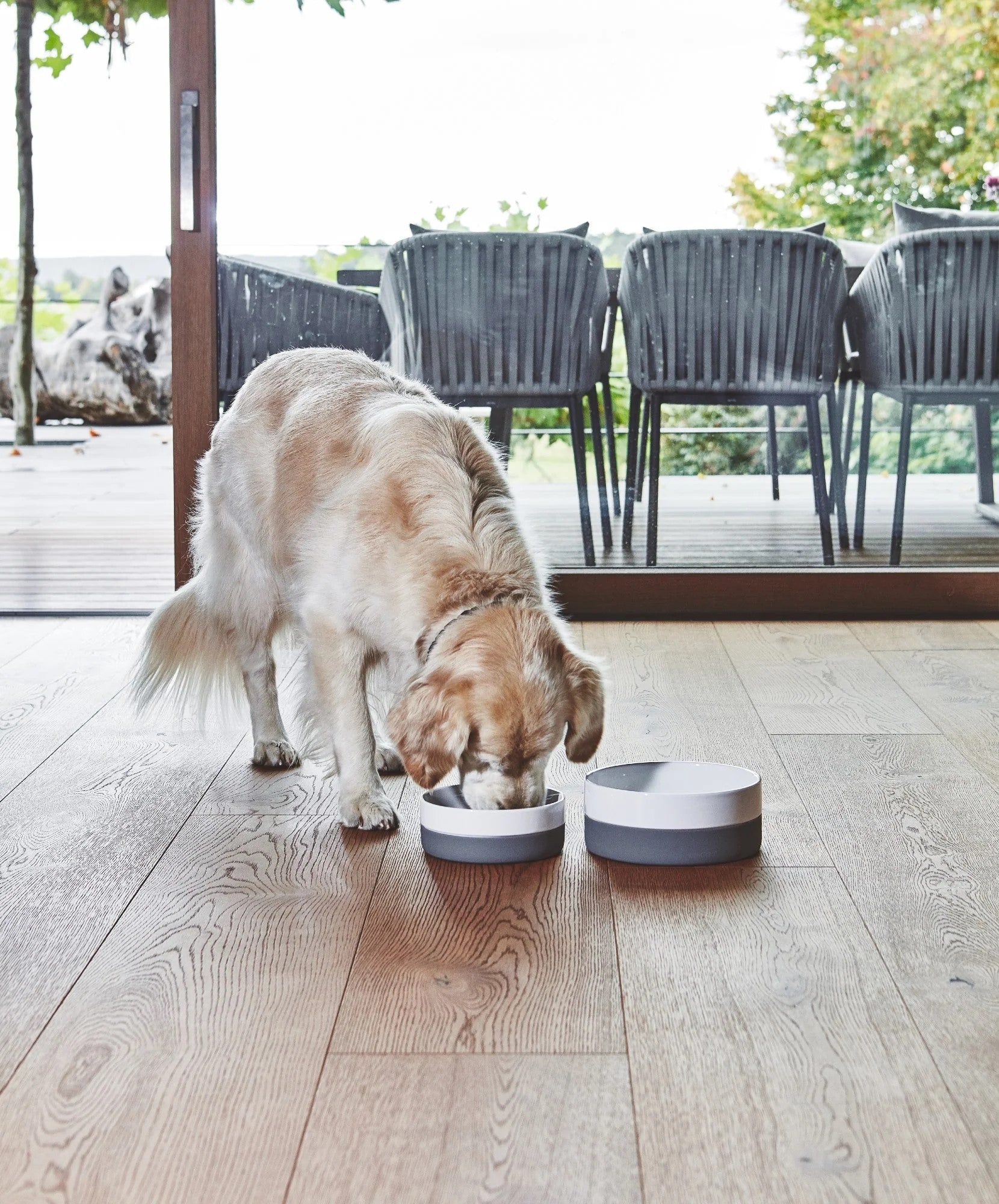 Gamelle pour chien en porcelaine - COPPA - Kasibe