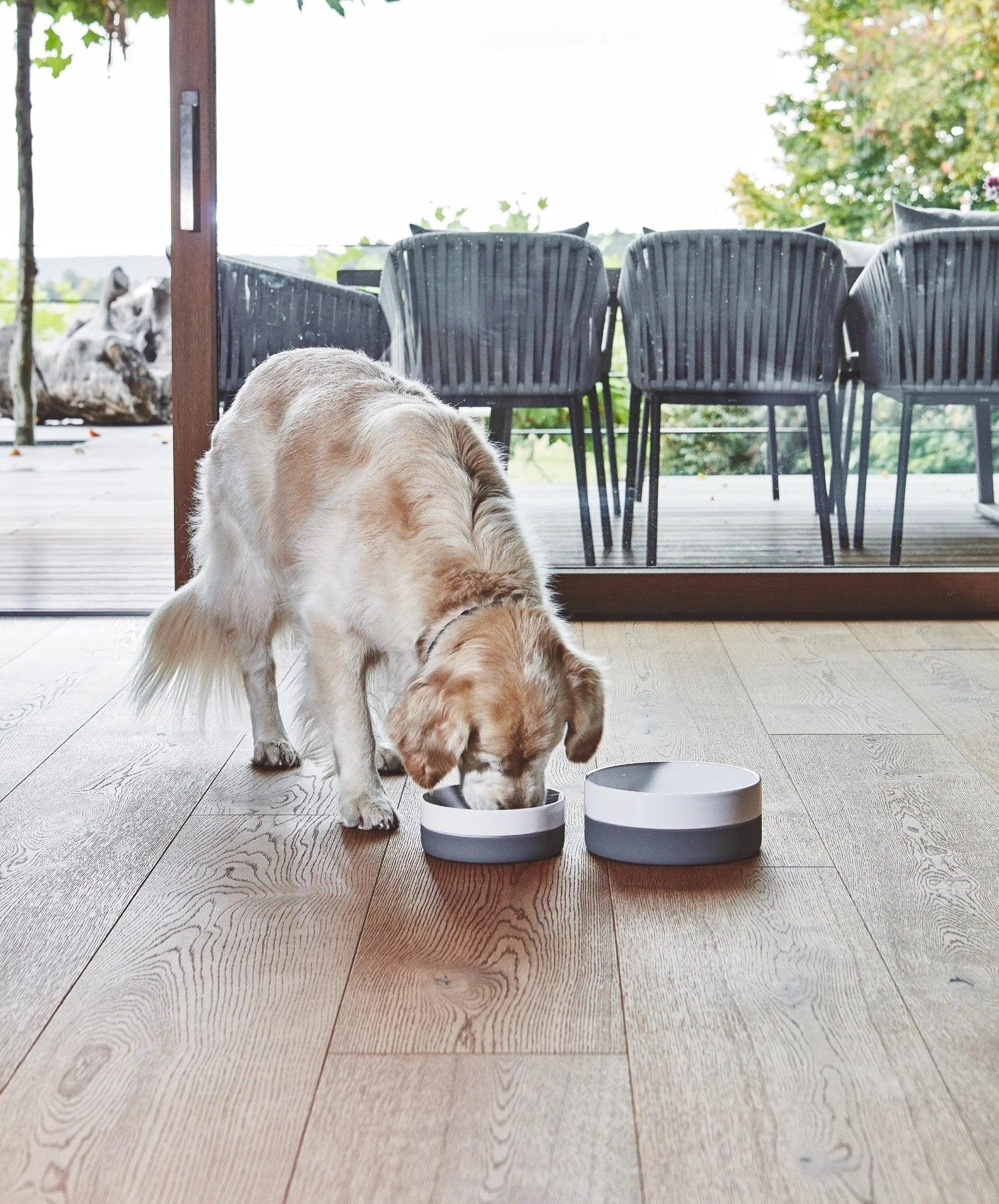 Gamelle pour chien en porcelaine - COPPA - Kasibe