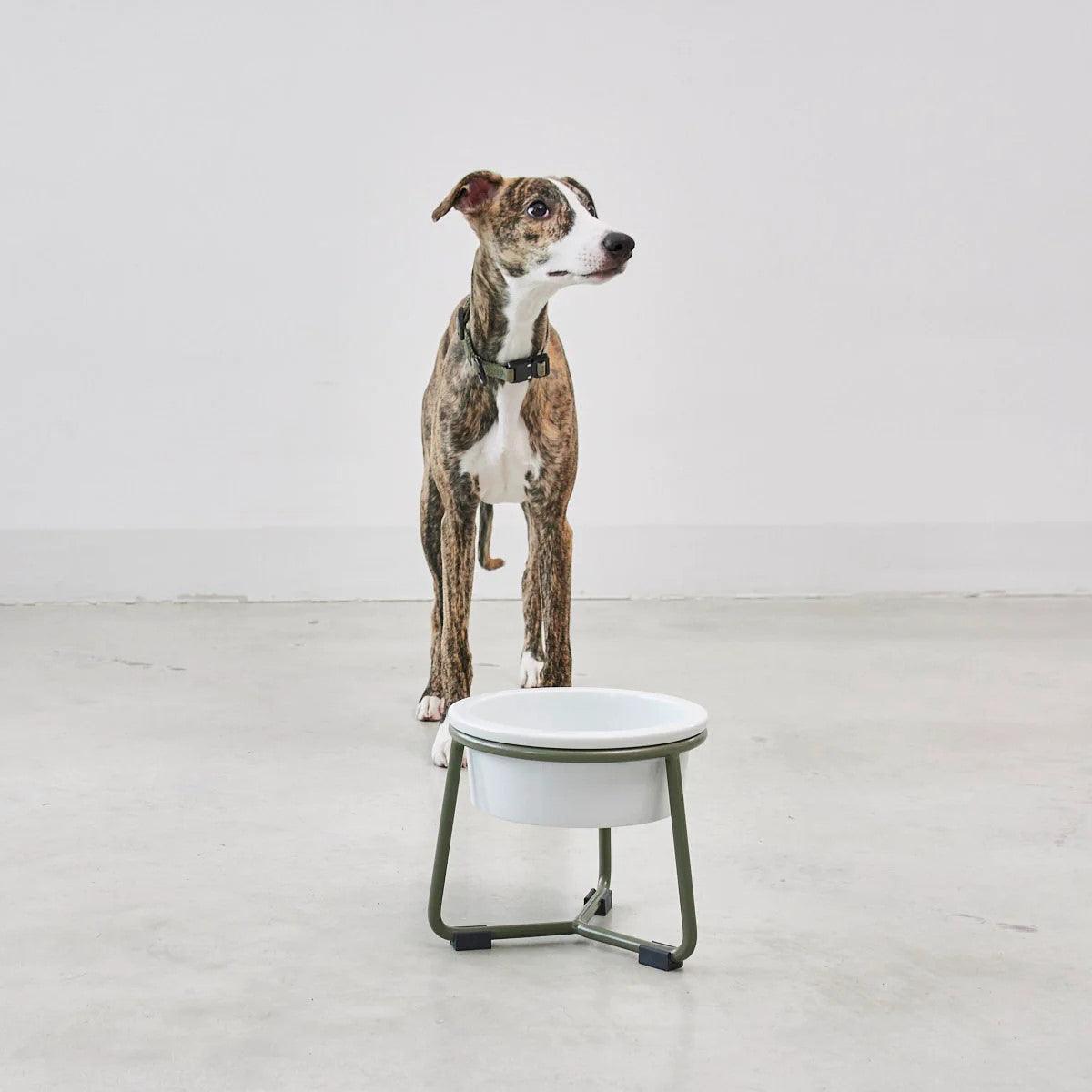 Gamelle pour chien en porcelaine - PRANZO - Kasibe