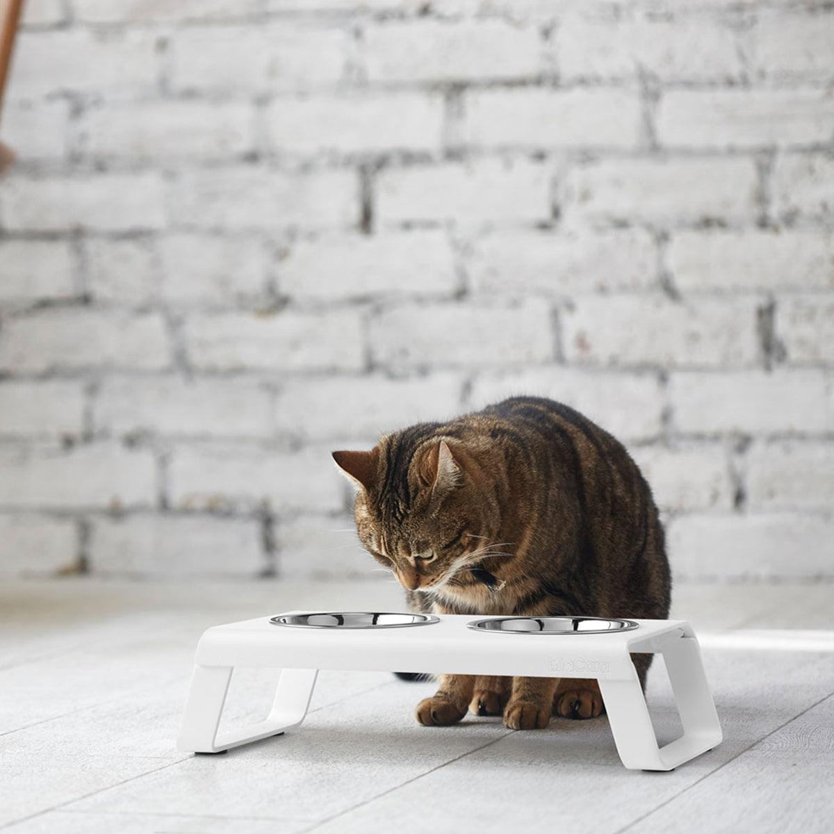 Gamelle surélevée pour chat - DESCO ALUMINIUM - Kasibe