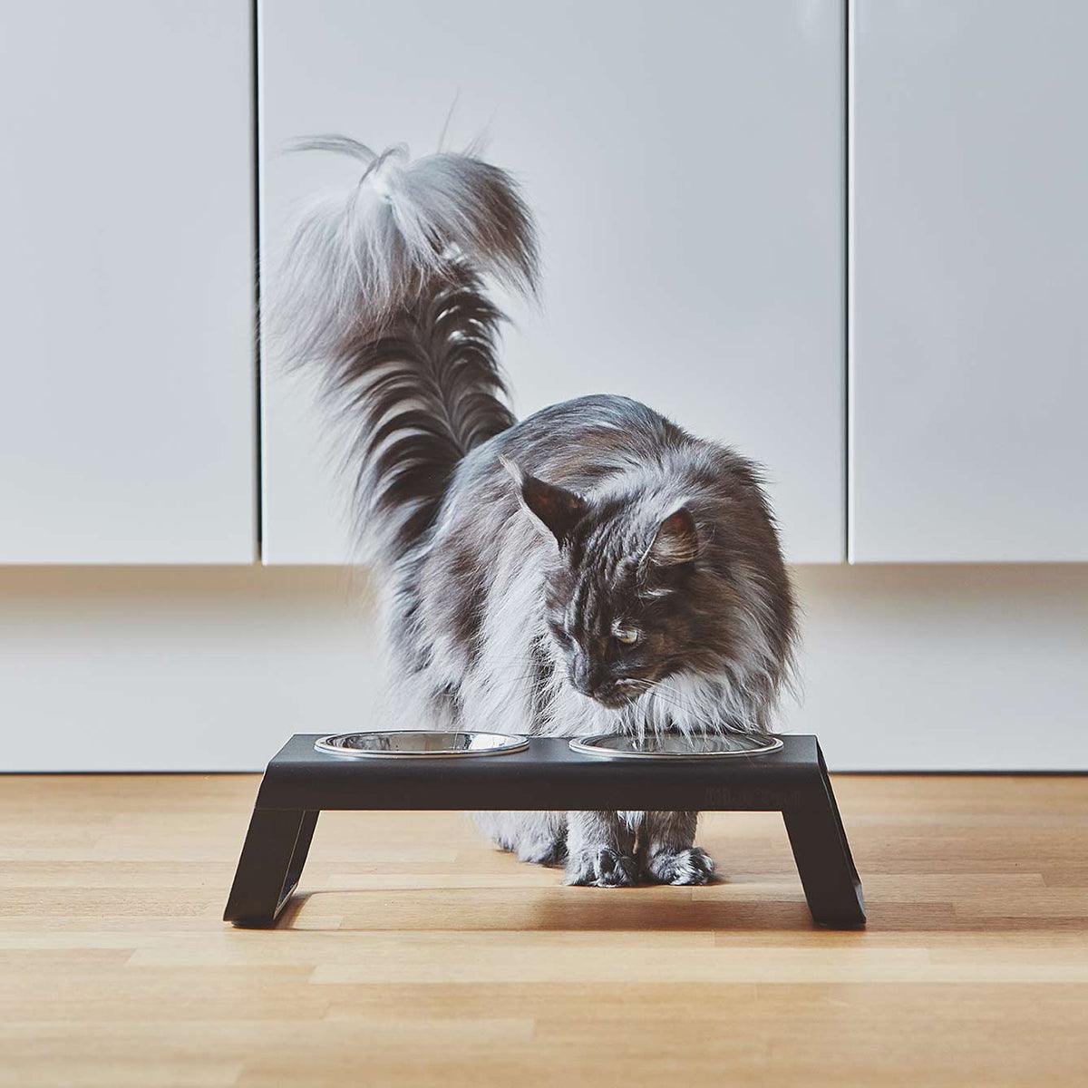 Gamelle surélevée pour chat - DESCO ALUMINIUM - Kasibe
