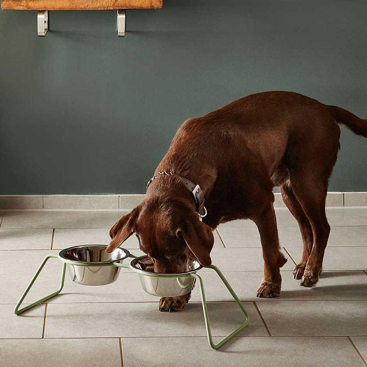 Gamelle surélevée pour chien - CENA - Kasibe