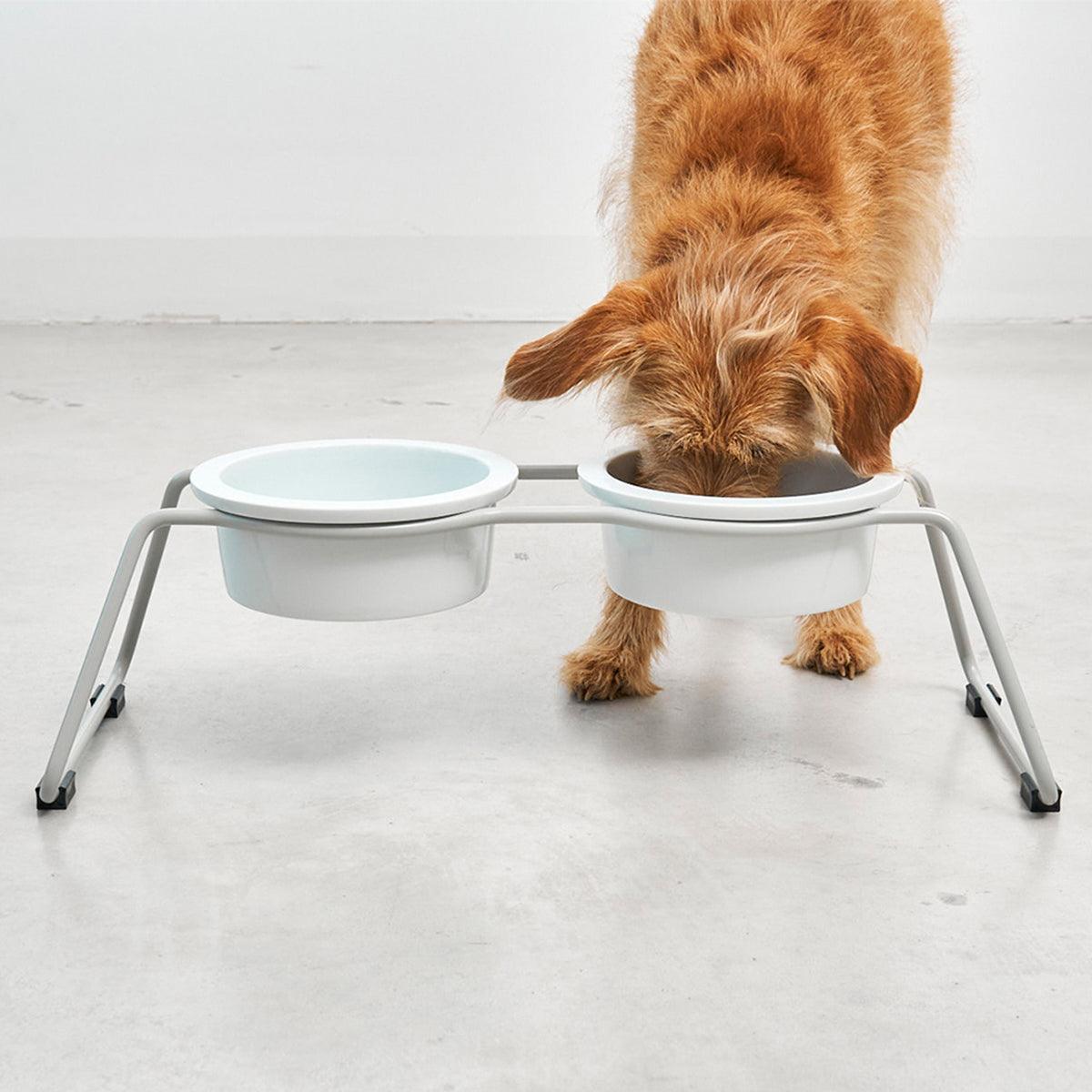 Gamelle surélevée pour chien - CENA - Kasibe