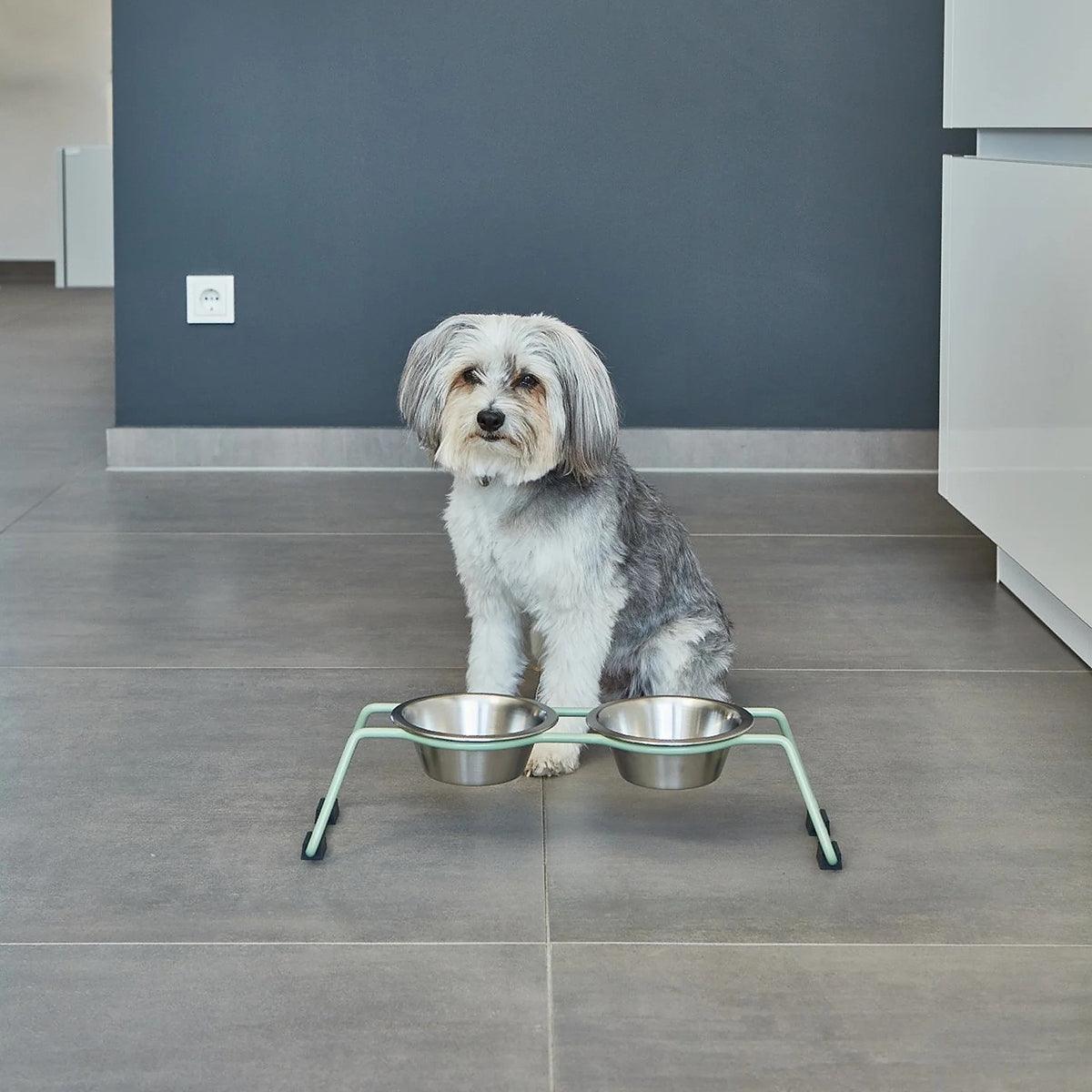 Gamelle surélevée pour chien - CENA - Kasibe