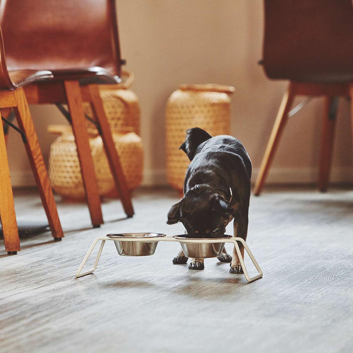 Gamelle surélevée pour chien - CENA - Kasibe