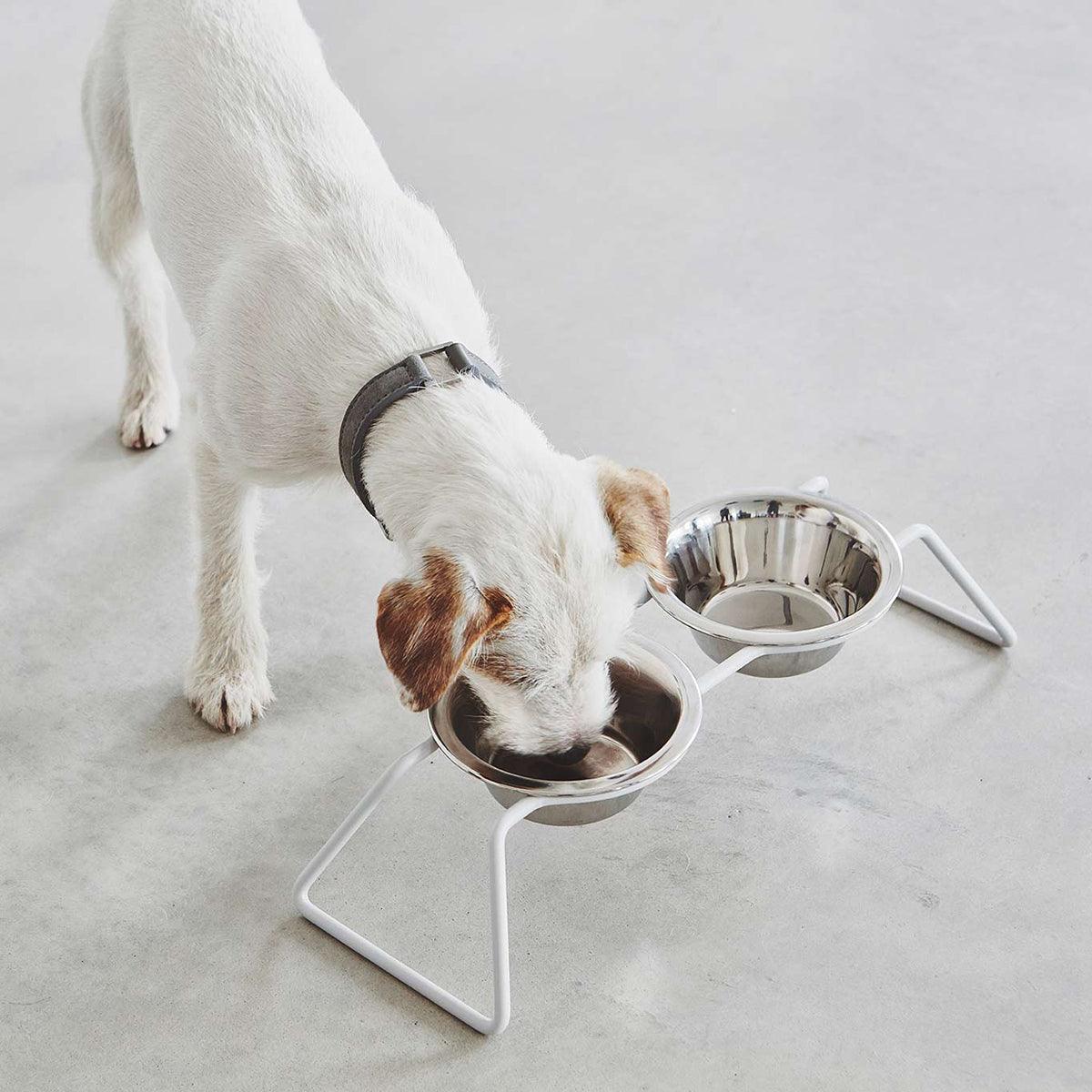 Gamelle surélevée pour chien - CENA - Kasibe