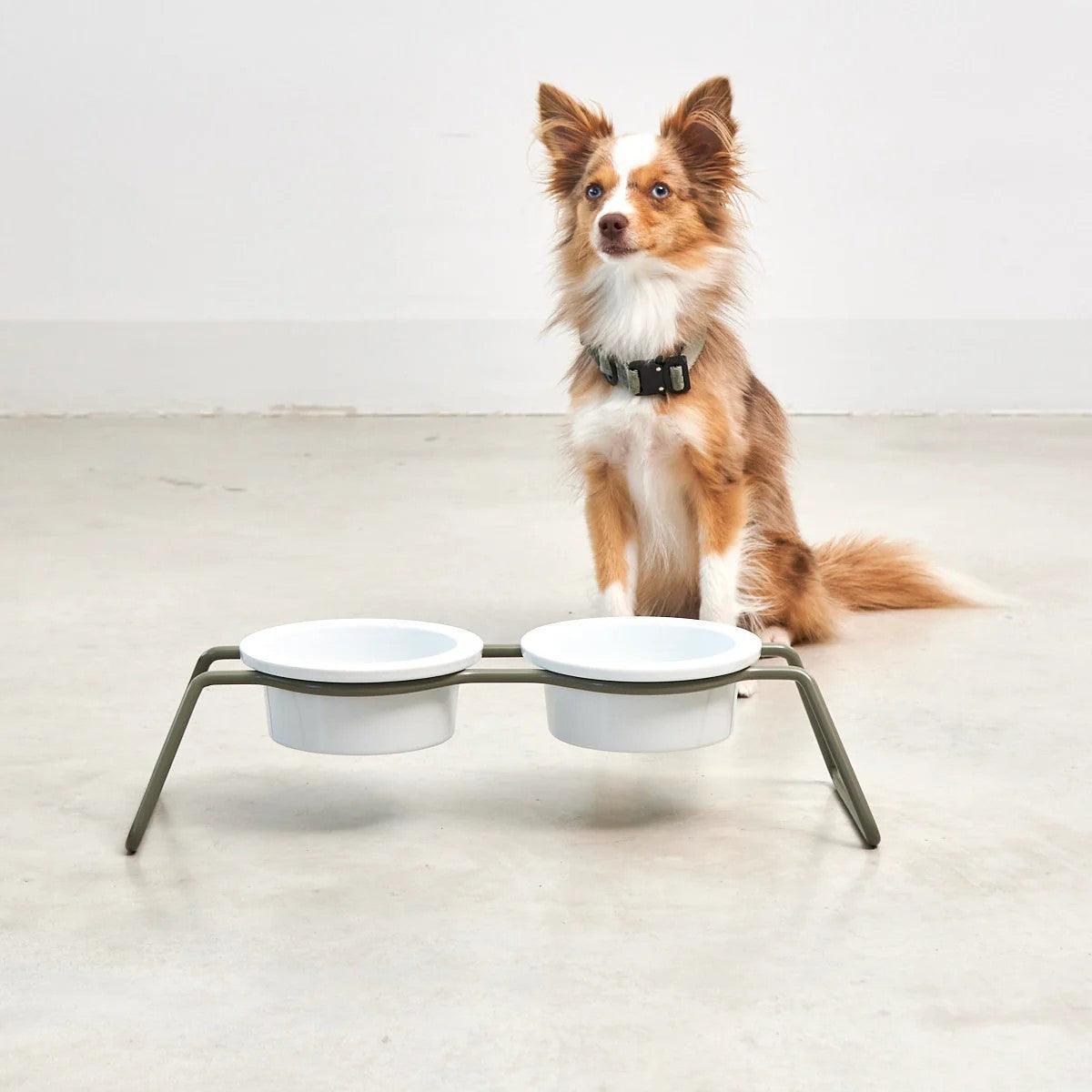 Gamelle surélevée pour chien - CENA - Kasibe