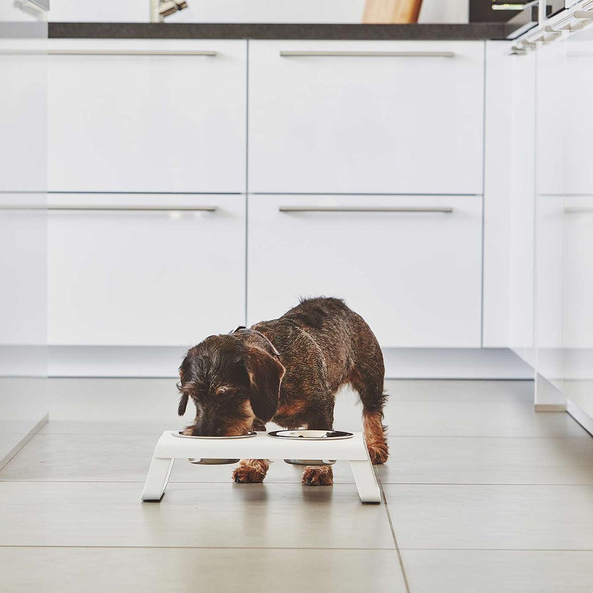 Gamelle surélevée pour chien - DESCO ALUMINIUM - Kasibe
