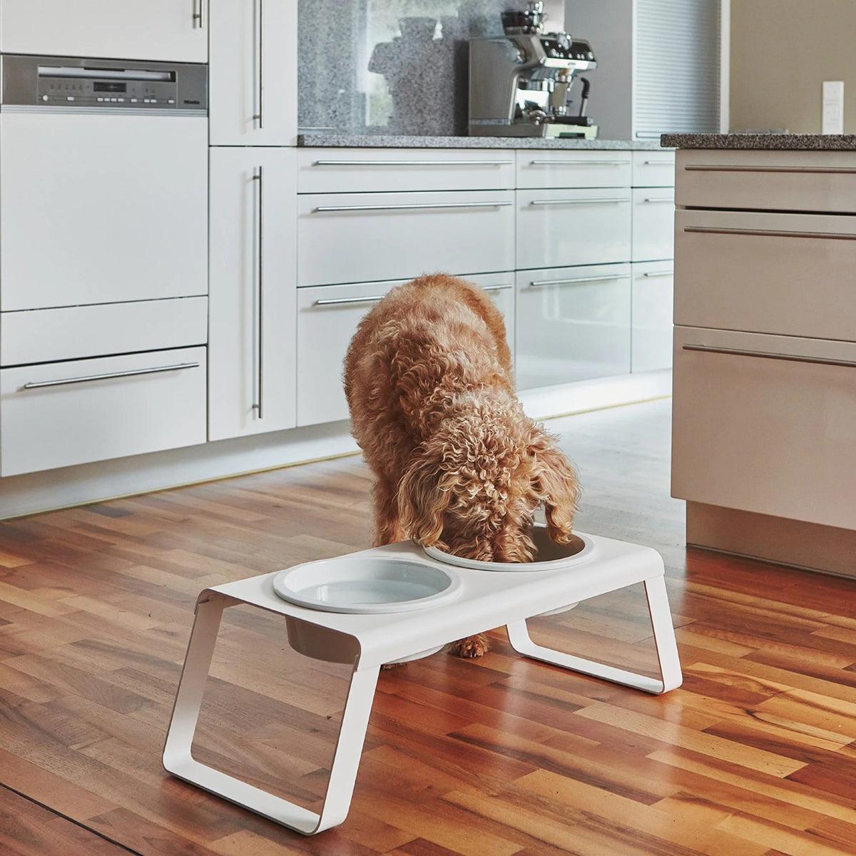 Gamelle surélevée pour chien - DESCO ALUMINIUM - Kasibe