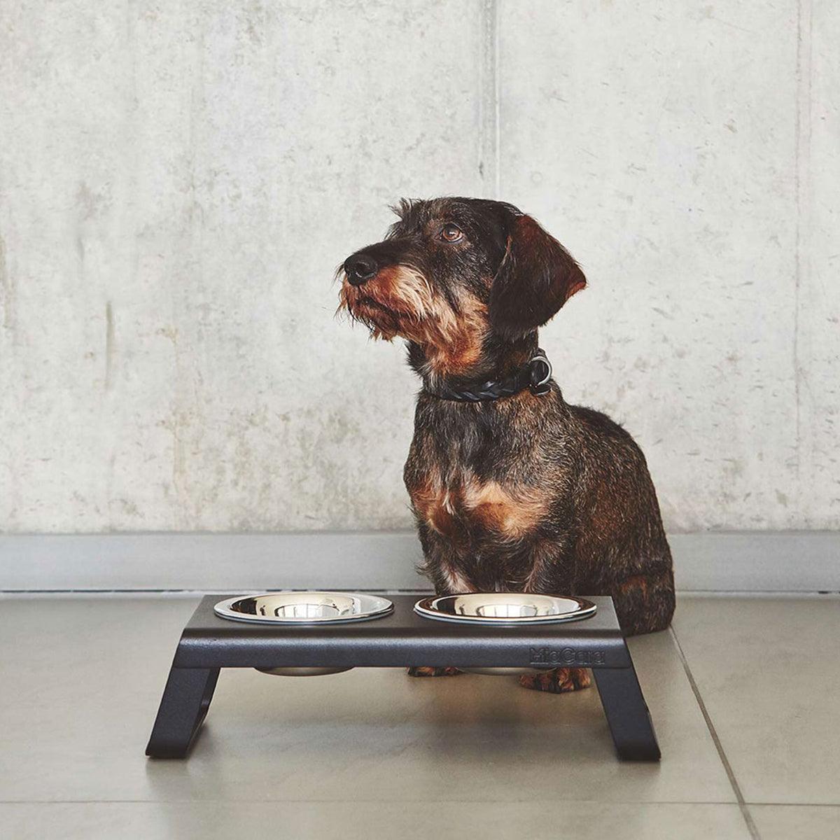 Gamelle surélevée pour chien - DESCO ALUMINIUM - Kasibe