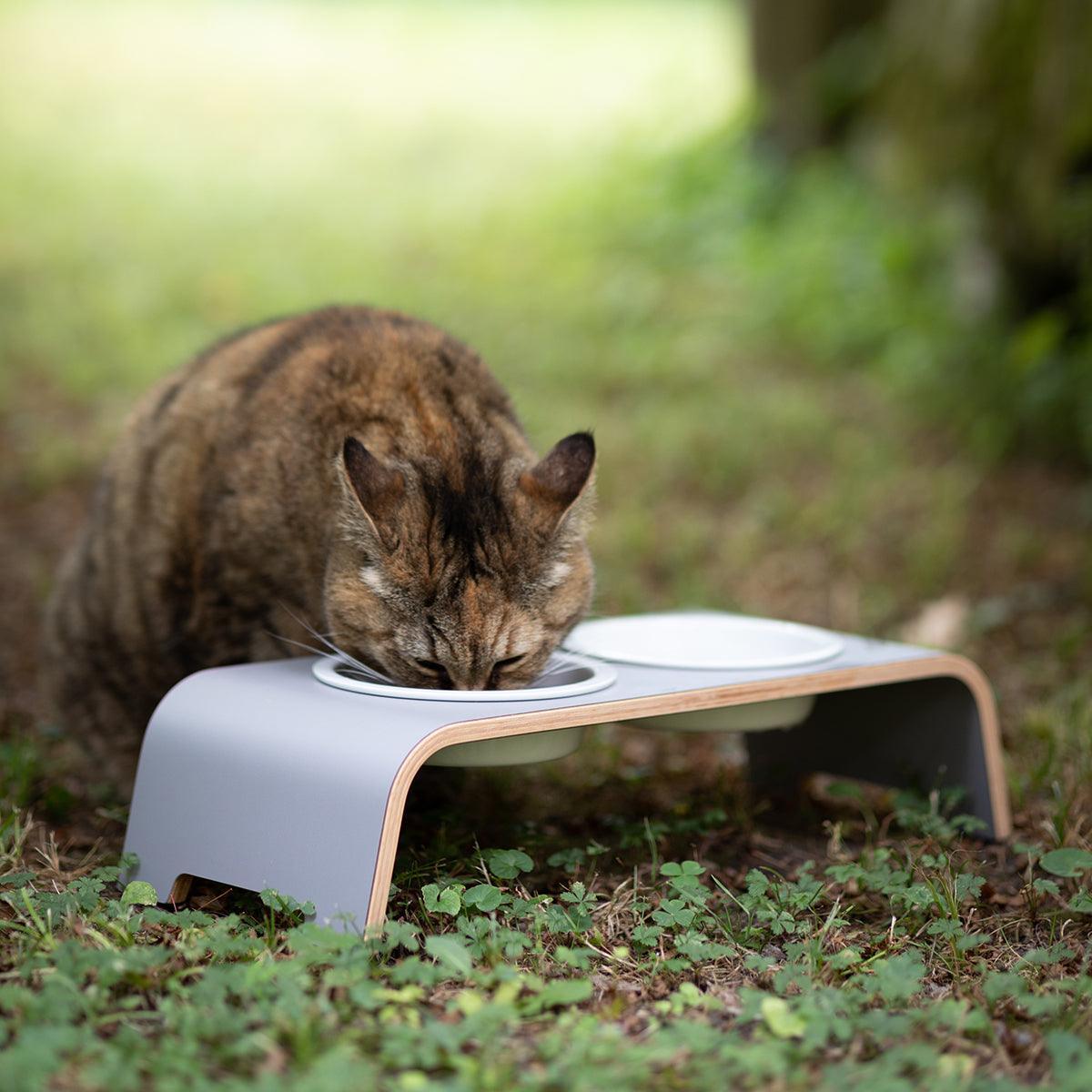 Gamelle pour chat surélevée catbar - kasibe