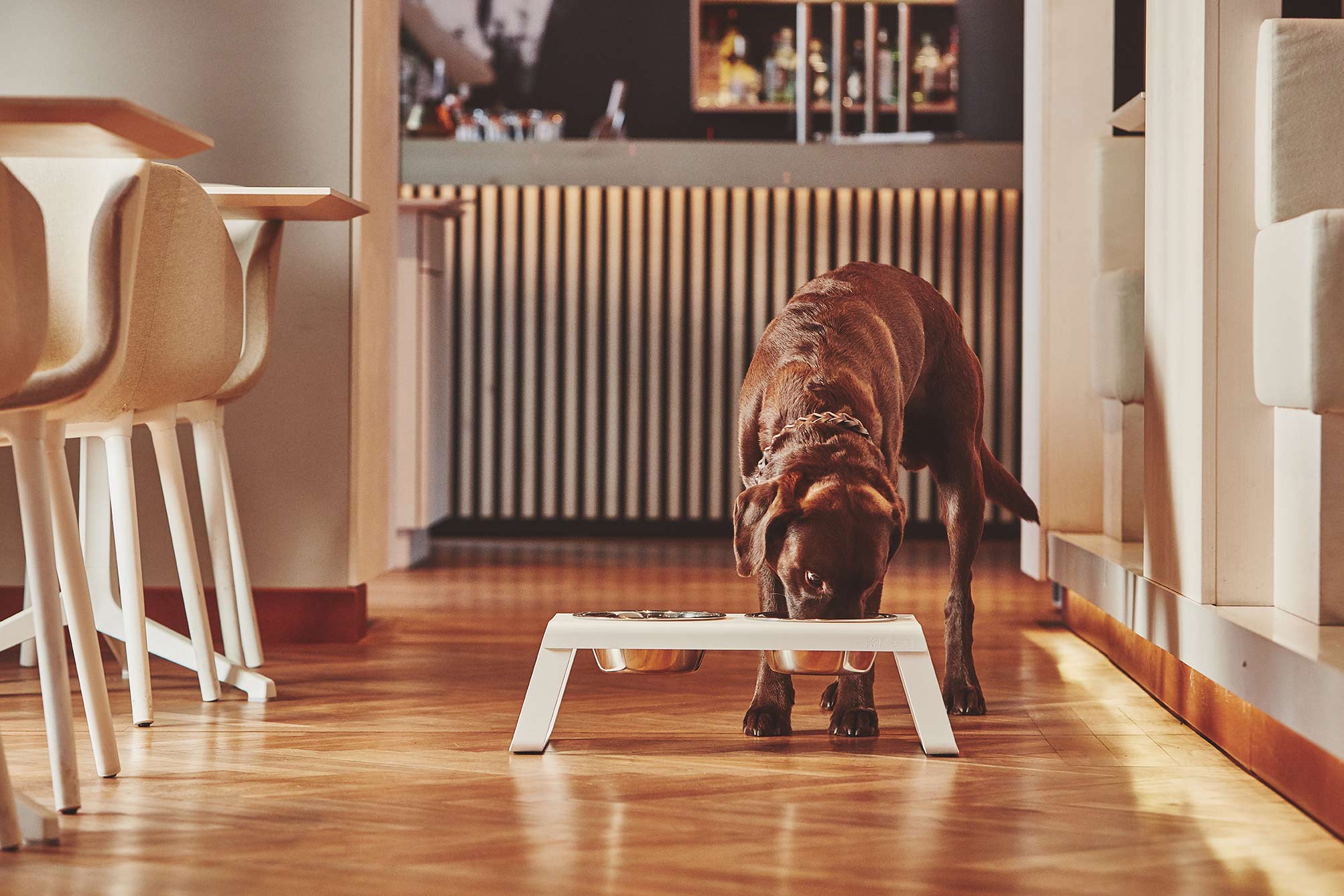 Kasibe sélection de gamelles pour chats et chiens design