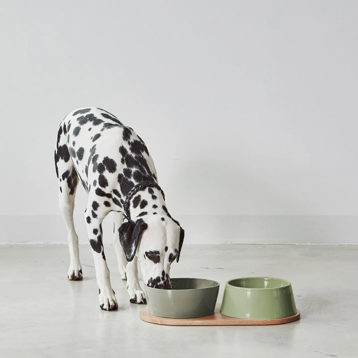 gamelle design pour chien en porcelaine olive - kasibe